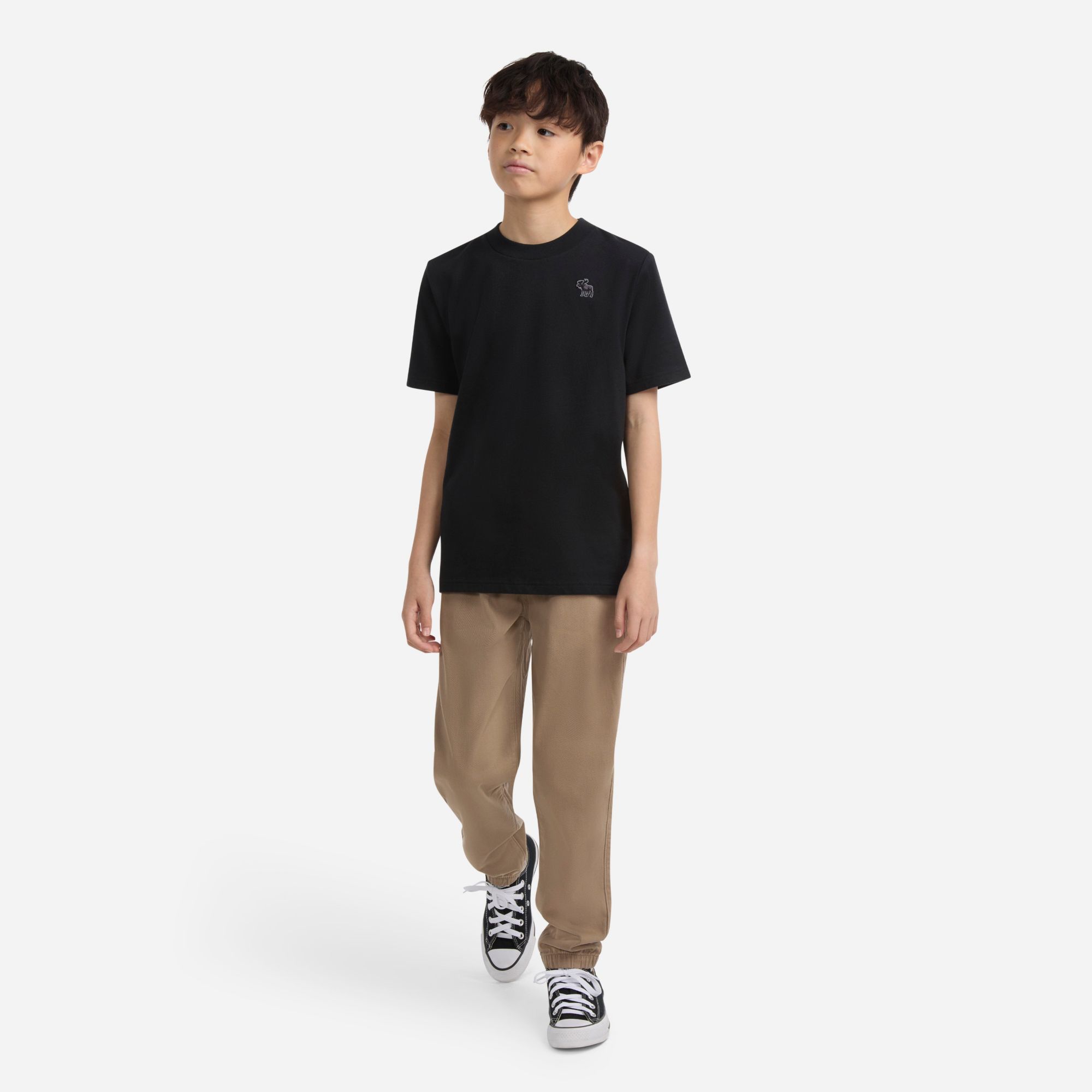 abercrombie kids essential tee product image