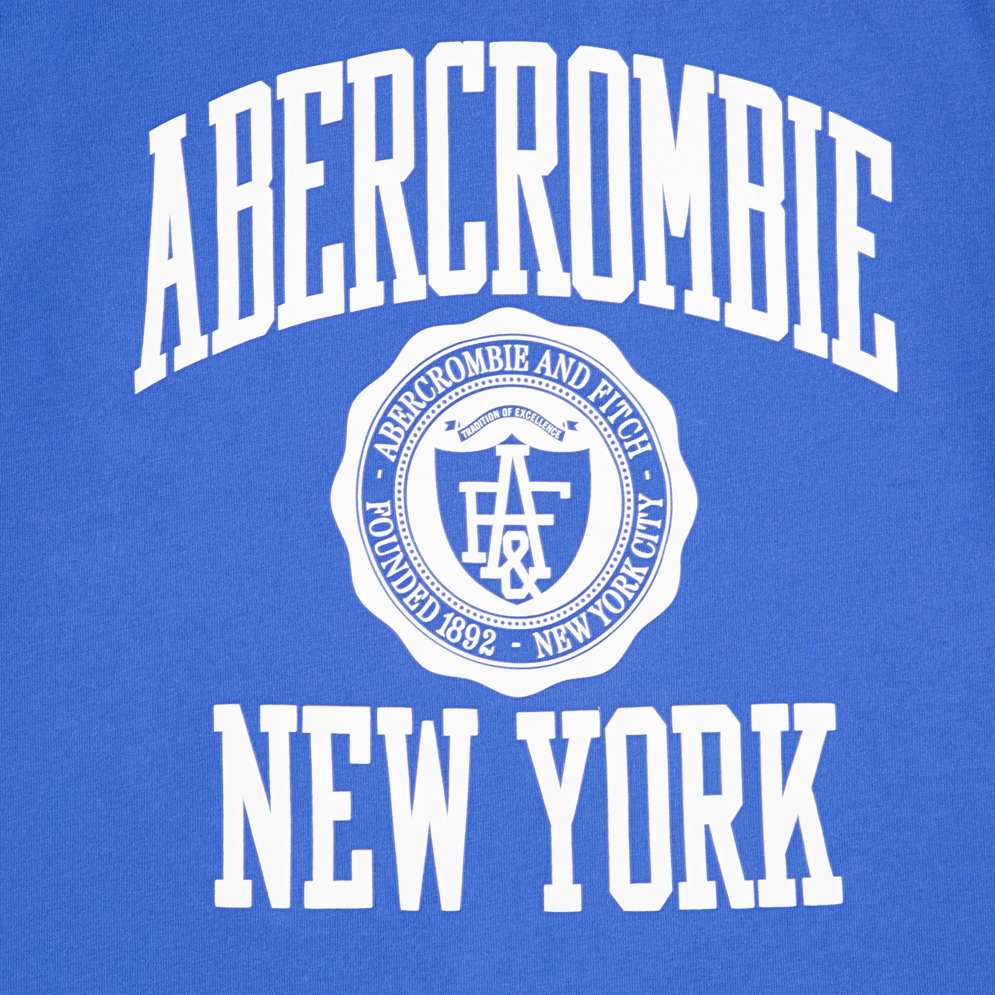 abercrombie kids collegiate tee product image