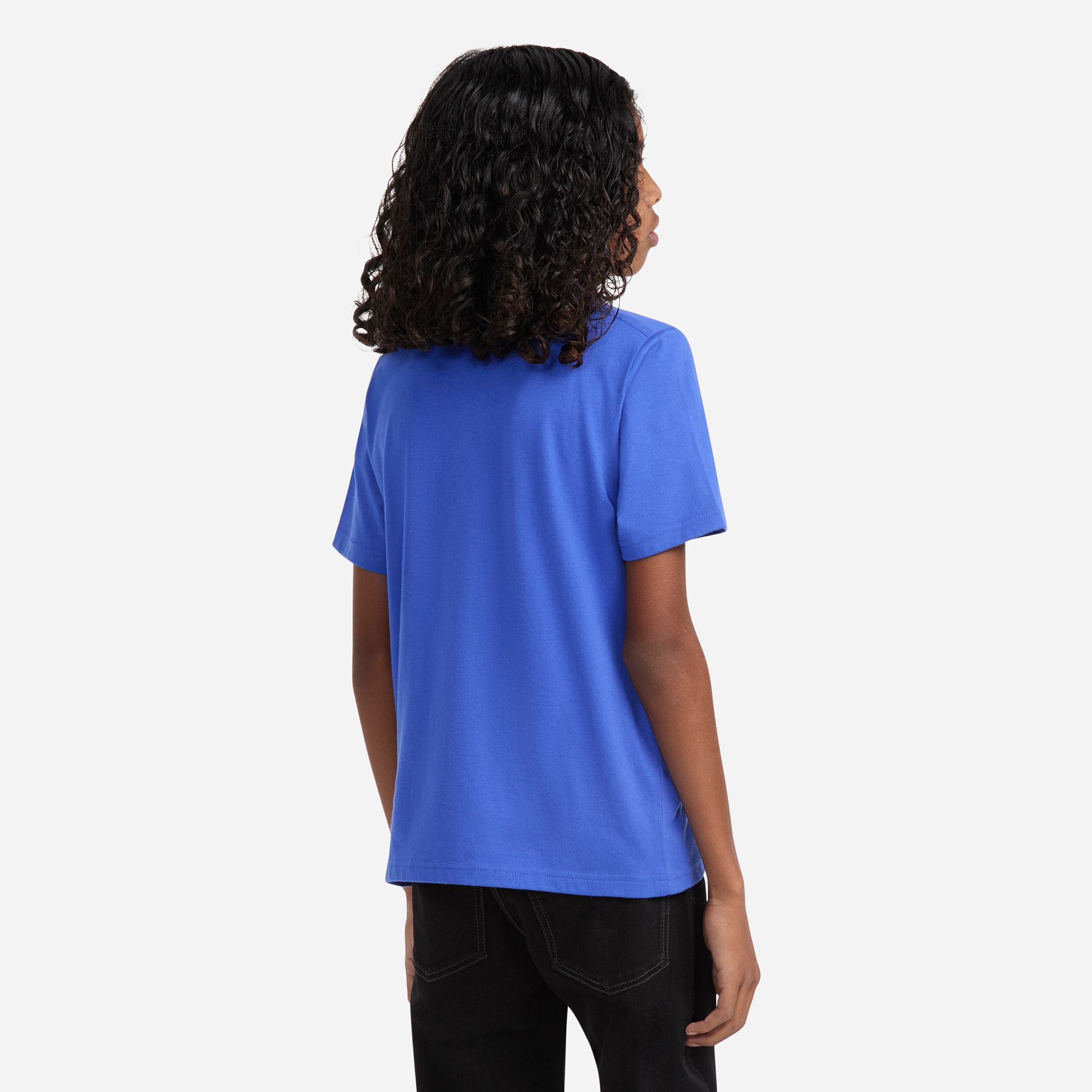 abercrombie kids collegiate tee product image