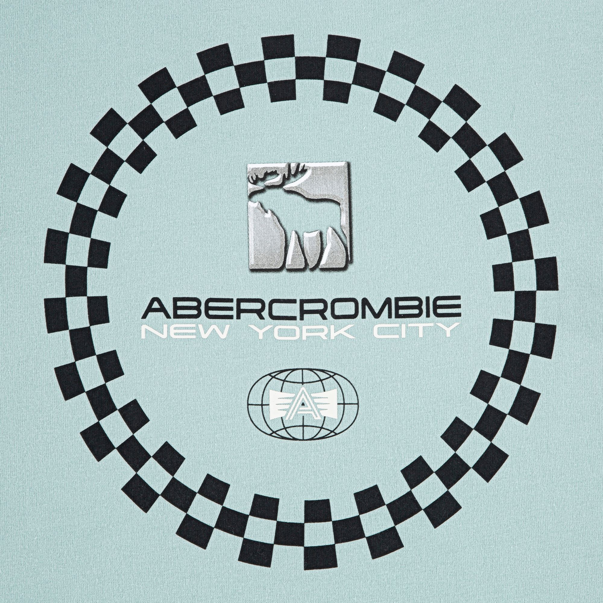 abercrombie kids race track tee product image