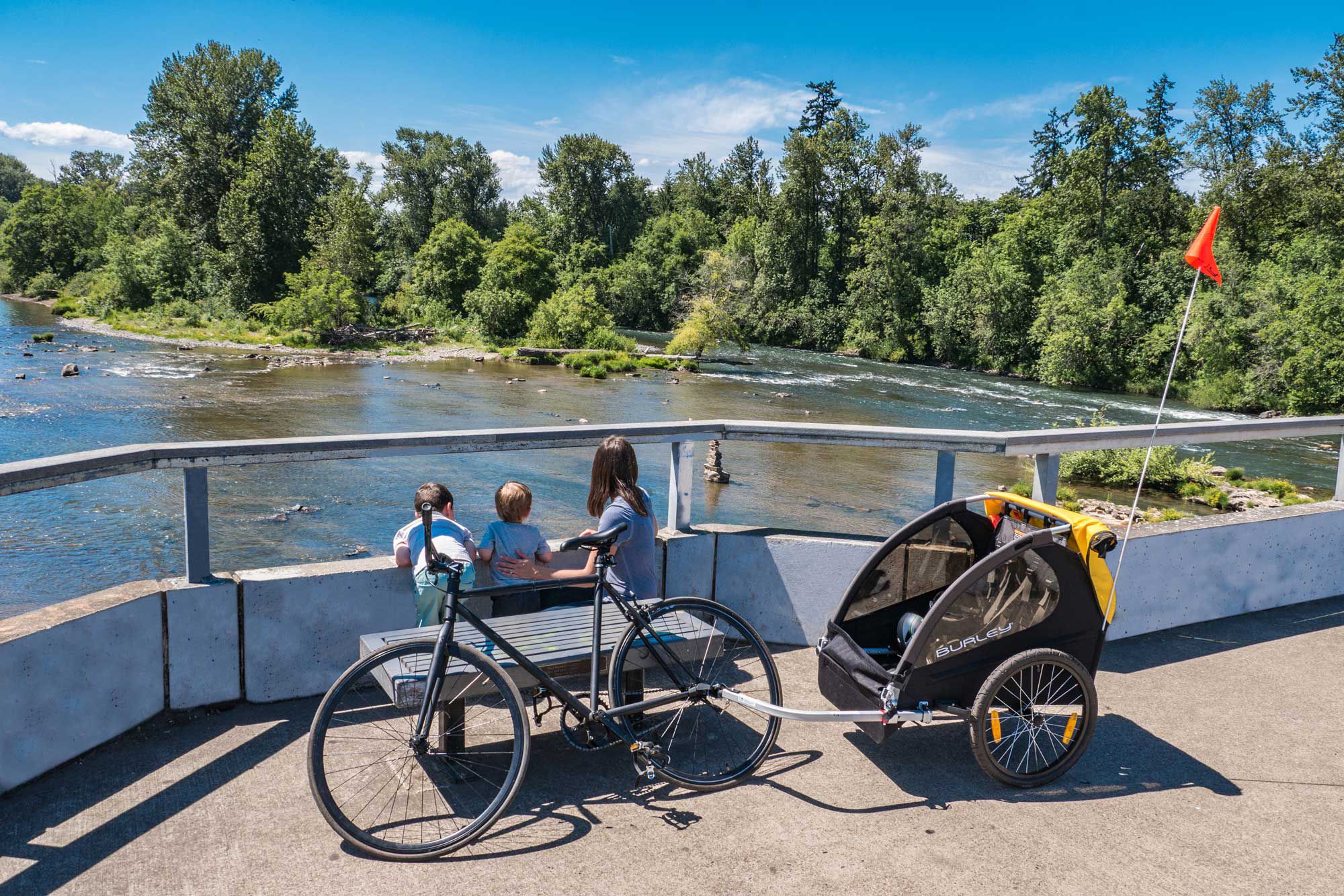 Burley Bee Bike Trailer product image