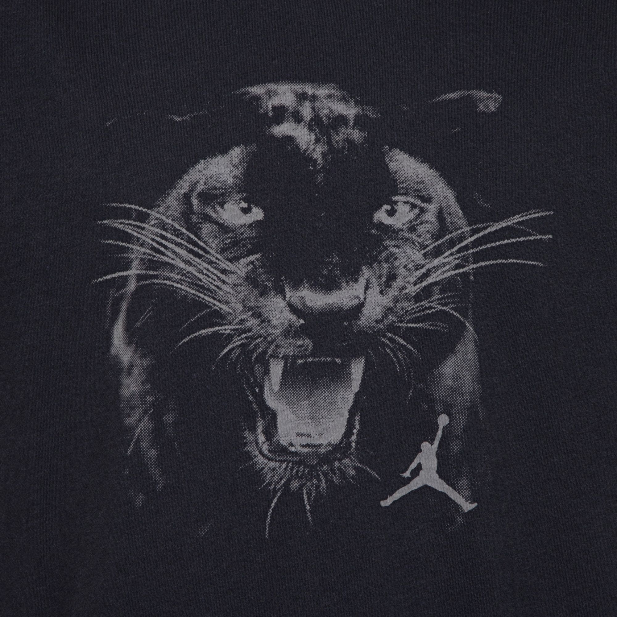 Jordan Boys' Panther Graphic T-Shirt product image