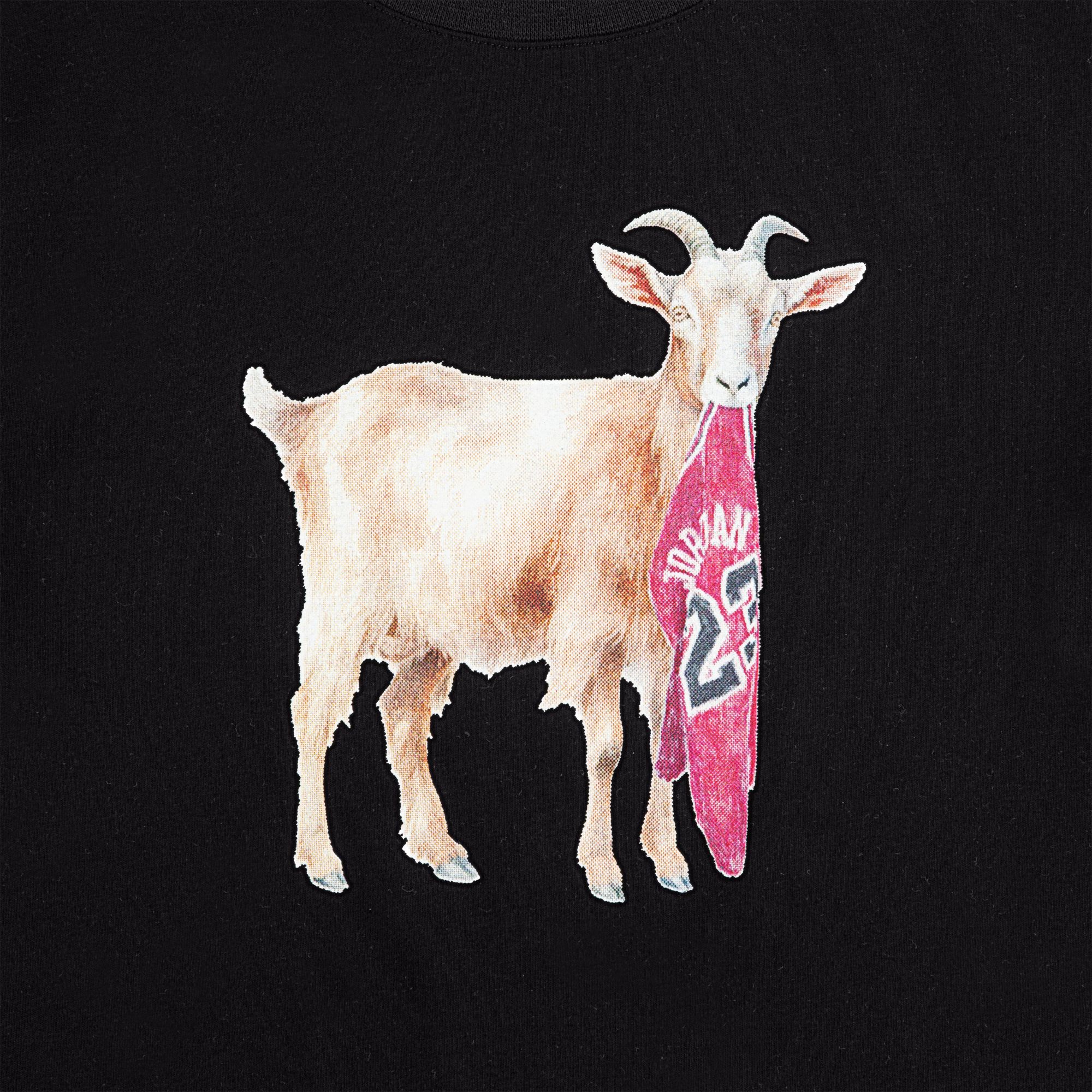 Jordan Kids' Flight Goat Graphic Tee product image