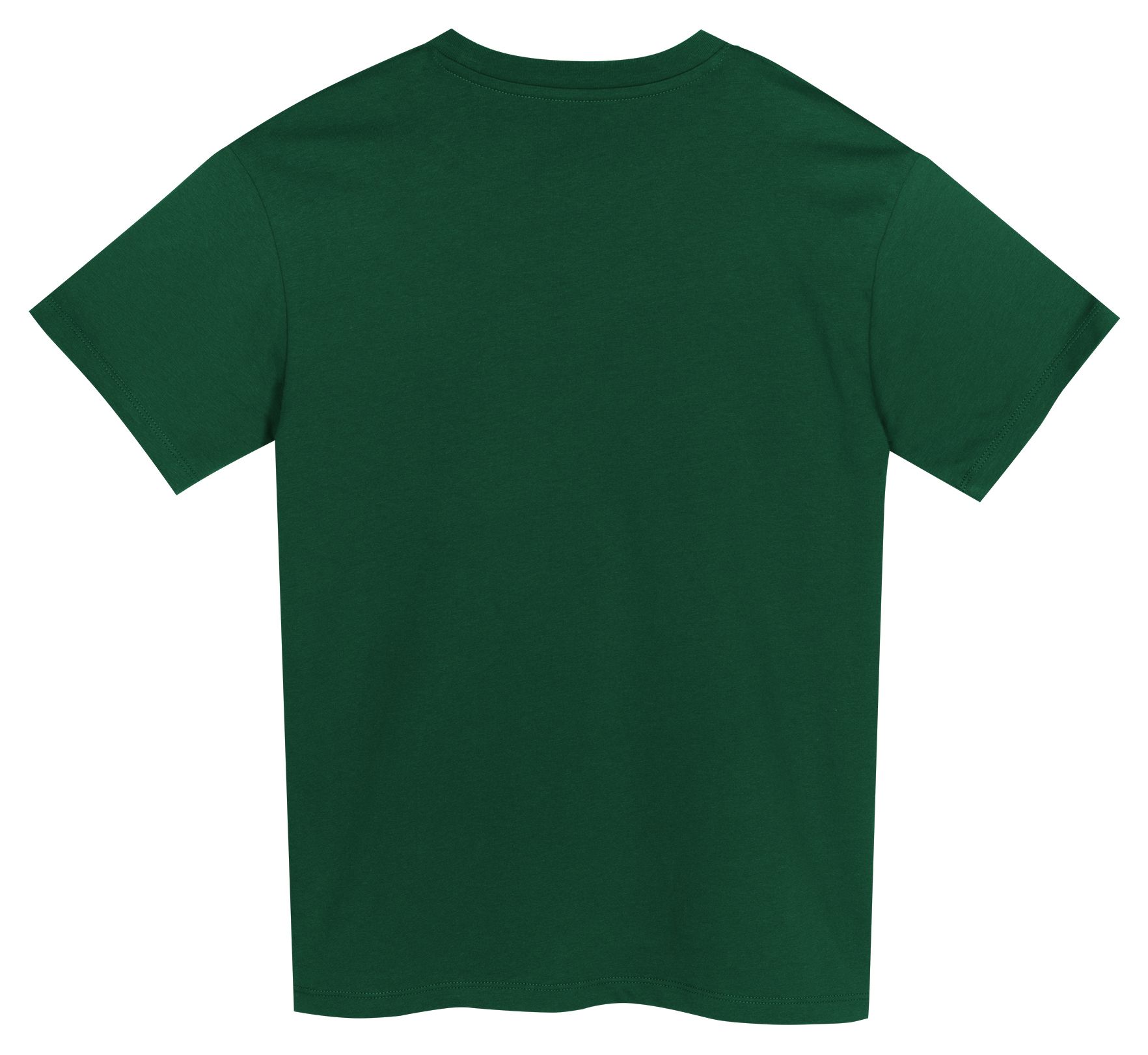 NFL Team Apparel Boys' Green Bay Packers Green 4-7 Get Loud Short Sleeve T-Shirt product image