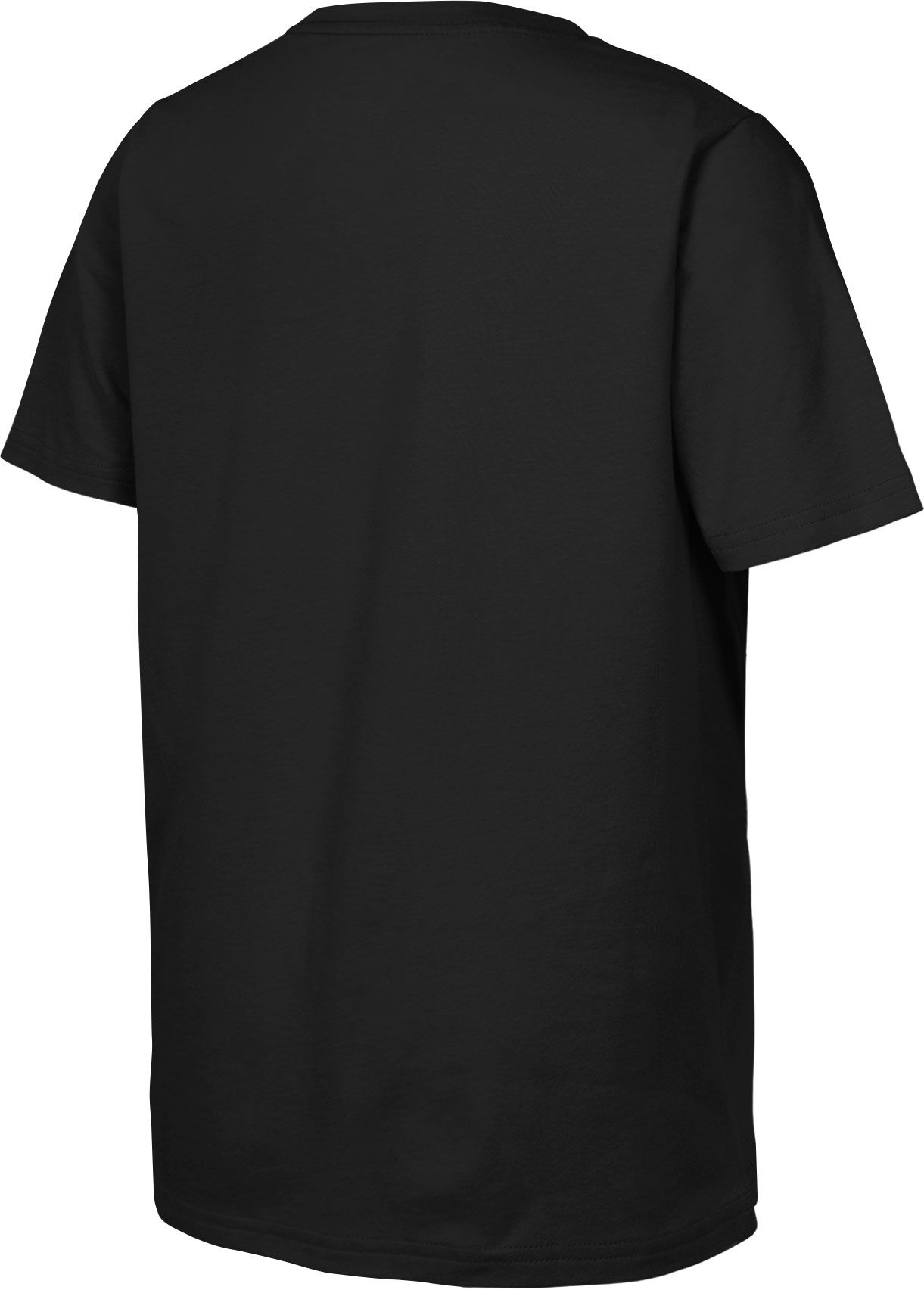 Outerstuff Youth 2024 NBA Champions Boston Celtics Hype T-Shirt product image