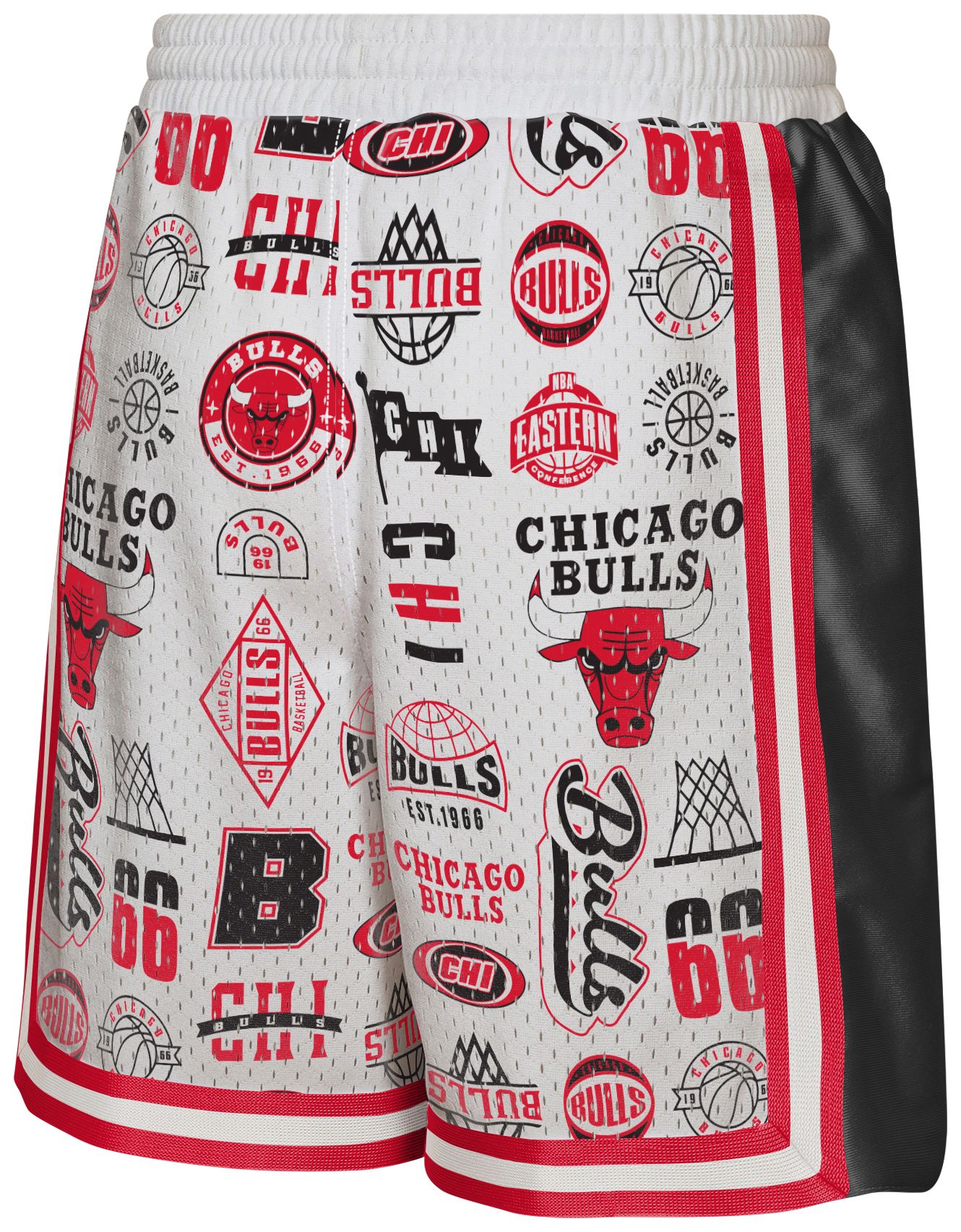 NBA Youth Chicago Bulls Ball Hog Shorts product image