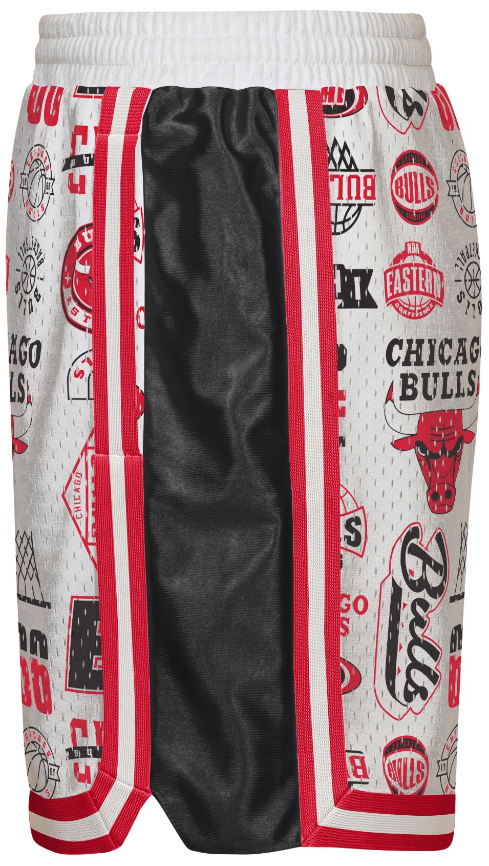 NBA Youth Chicago Bulls Ball Hog Shorts product image