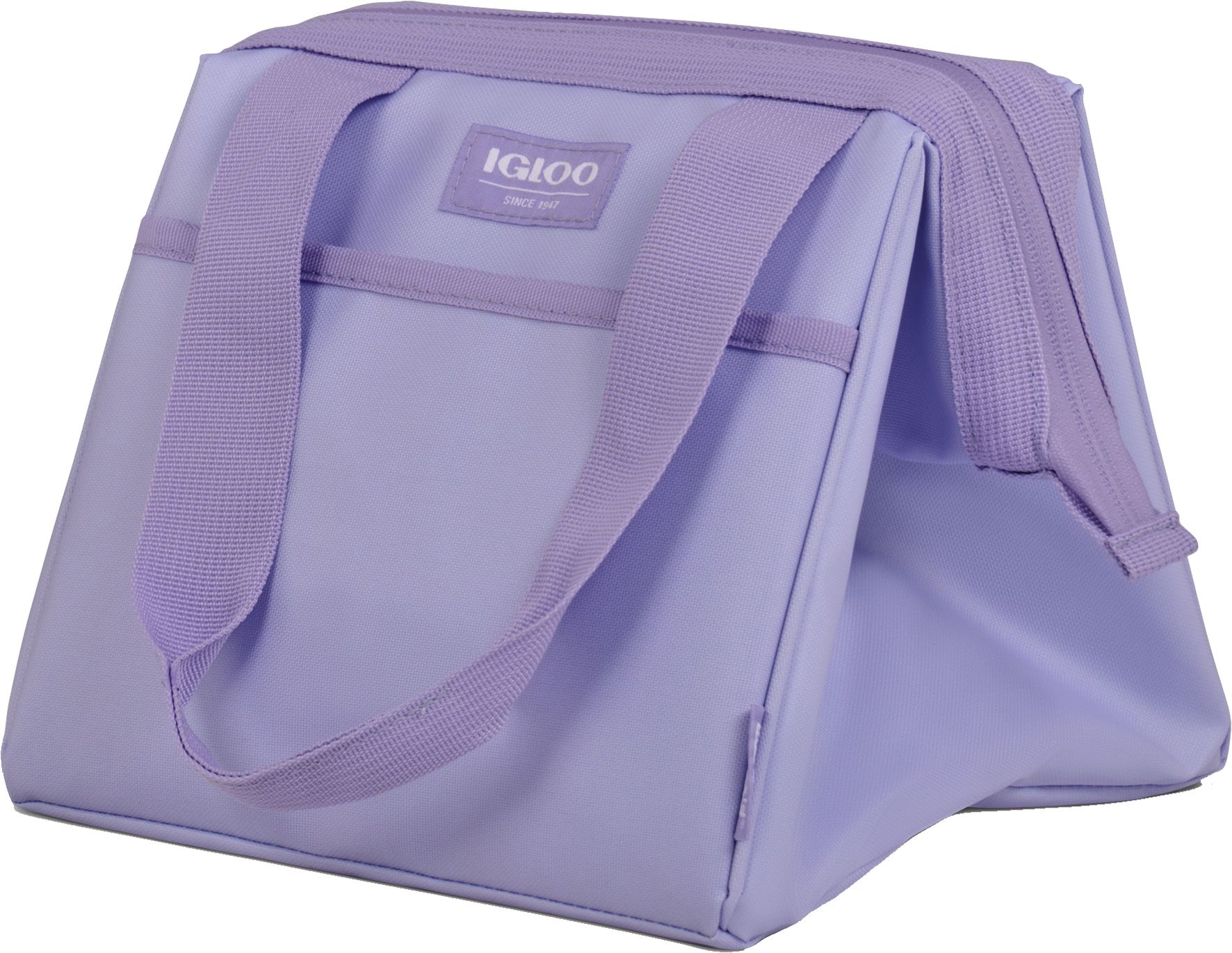 Igloo Vantage Leftover 9 Can Fashion Tote product image