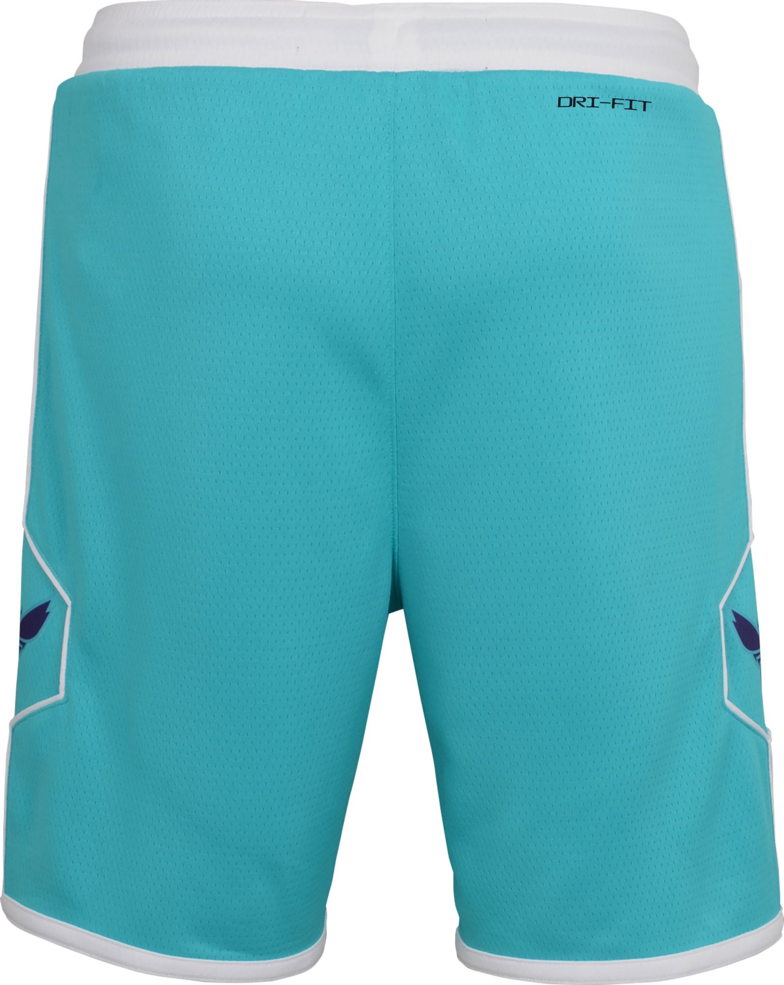 Nike Youth Charlotte Hornets Teal Icon Shorts product image
