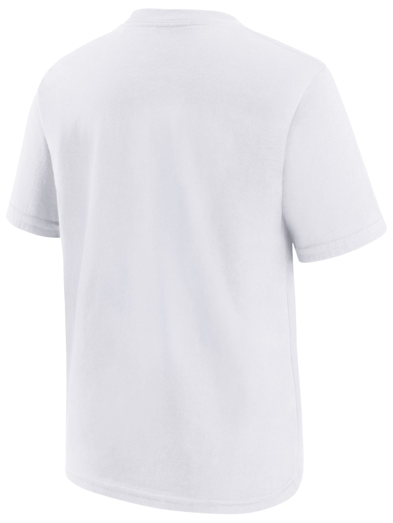 Nike Youth Tennessee Titans White Legend Icon T-Shirt product image