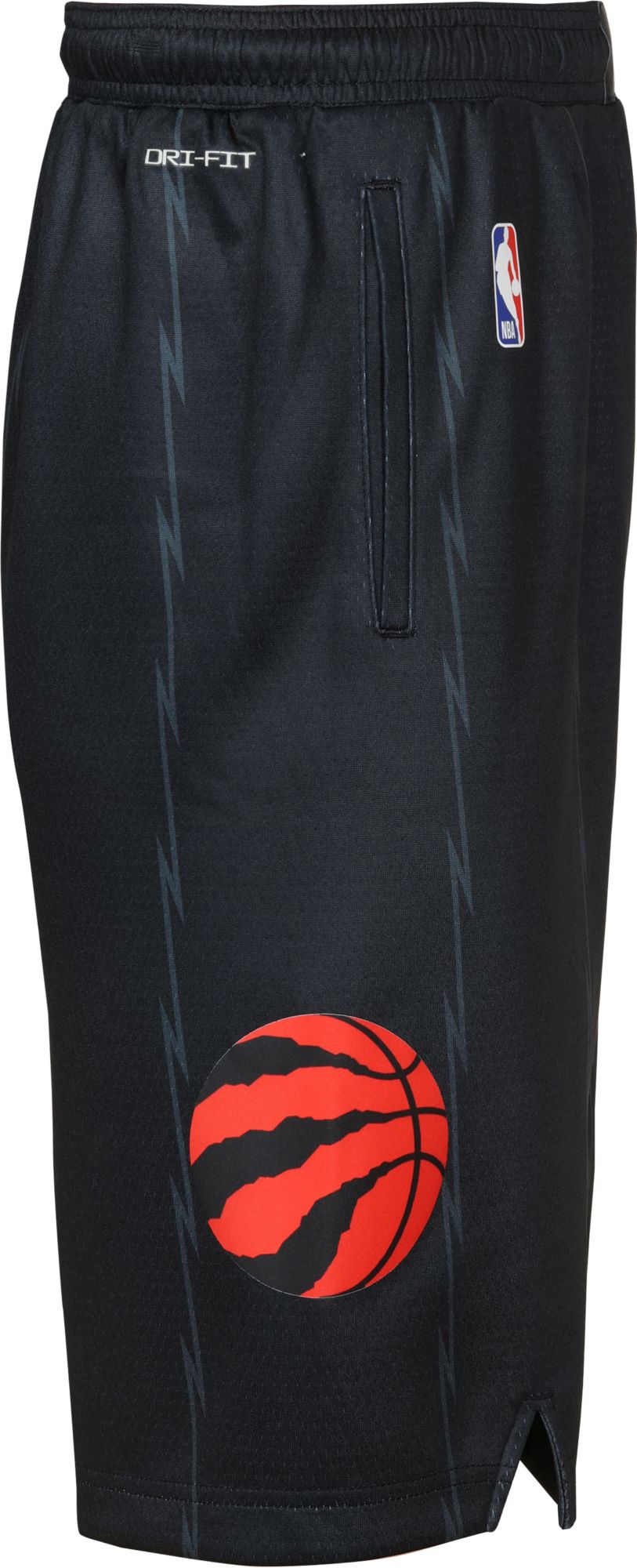 Nike Youth 2025-26 City Edition Toronto Raptors Swingman Shorts product image