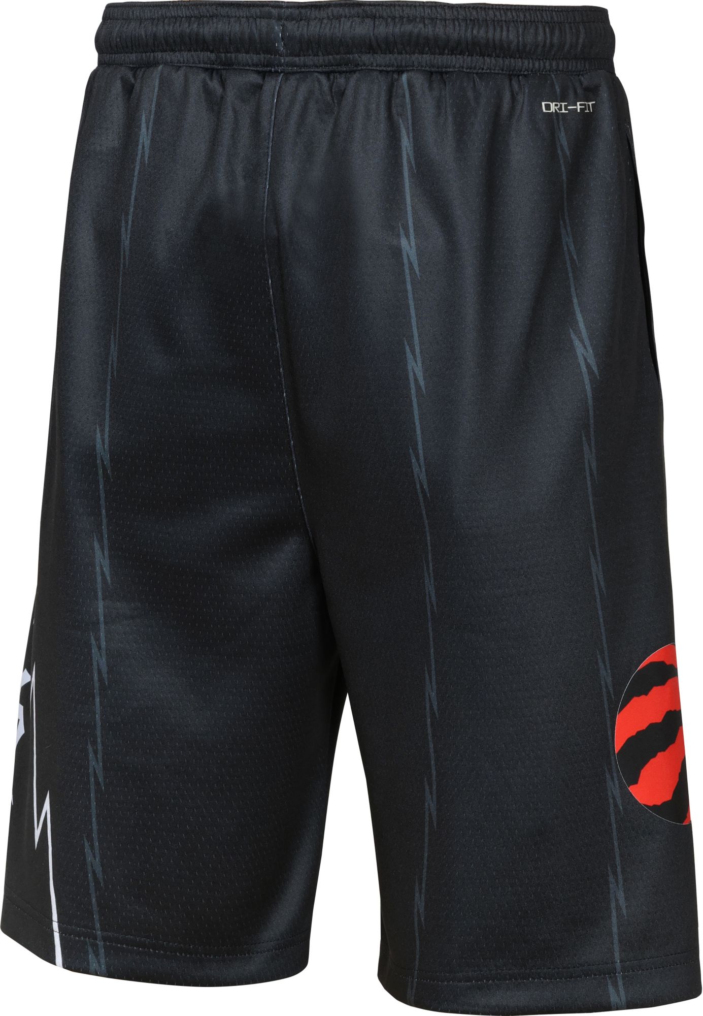 Nike Youth 2025-26 City Edition Toronto Raptors Swingman Shorts product image