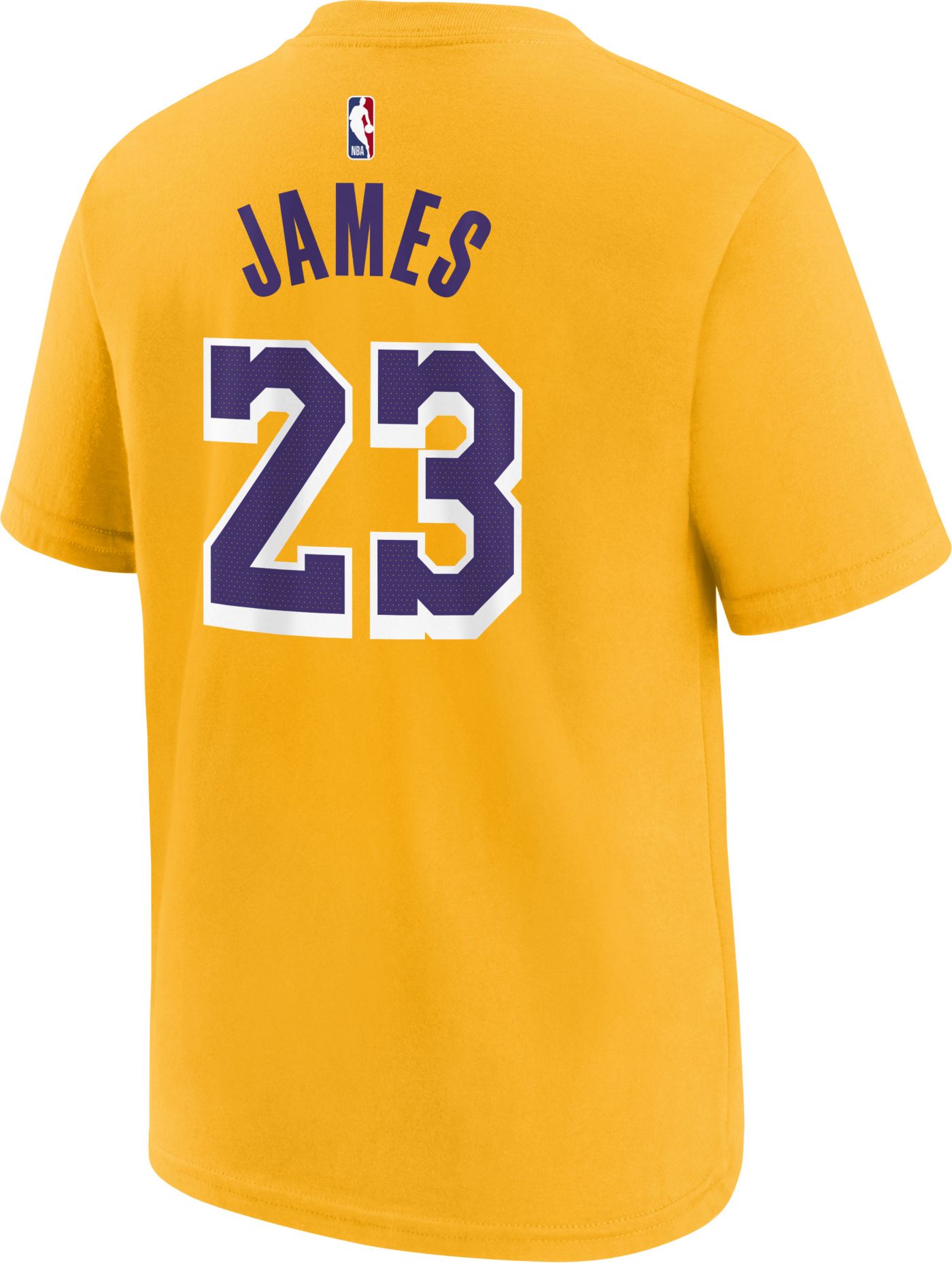 Lebron lakers jersey dicks online