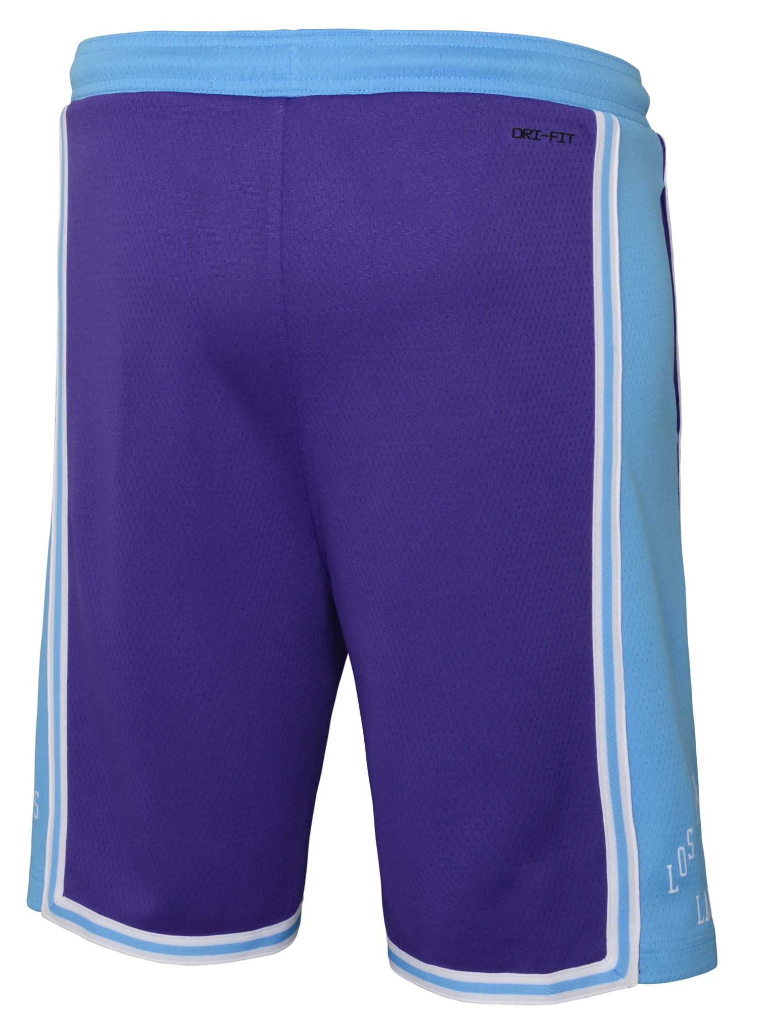 Nike Youth 2021-22 City Edition Los Angeles Lakers Purple Swingman Shorts product image