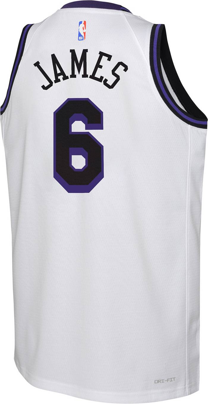  Lebron James Los Angeles Lakers Purple #6 Youth 8-20