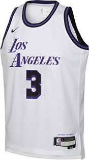 Dick's Sporting Goods Outerstuff Youth Los Angeles Lakers Grey Get