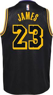 Nike Youth Los Angeles Lakers LeBron James Mamba Jersey Nike Youth Los Angeles Lakers LeBron James Mamba Jersey