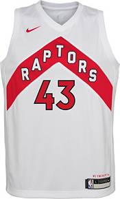 Nike Youth Toronto Raptors Pascal Siakam #43 Dri-FIT Swingman White Jersey product image