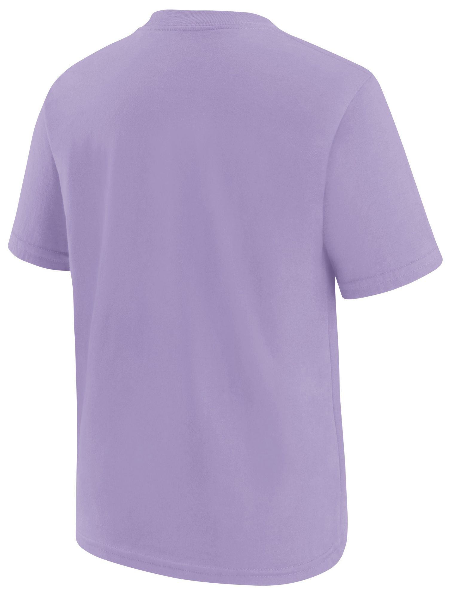 Nike Youth Golden State Valkyries Lilac T-Shirt product image