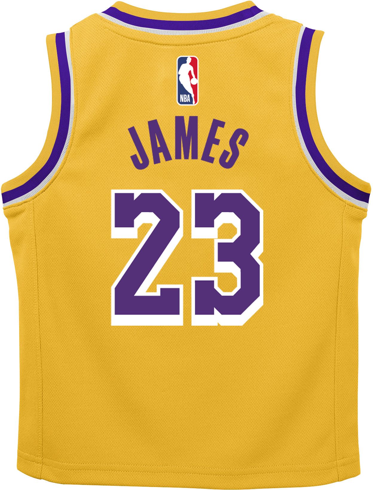 lebron james jersey dicks