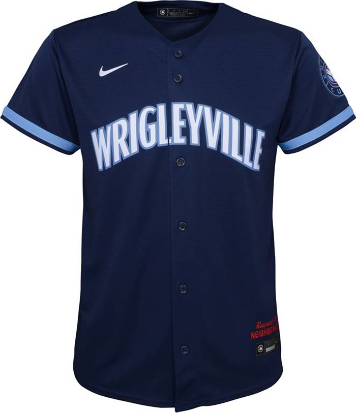 Blue Nike MLB Chicago Cubs City Jersey