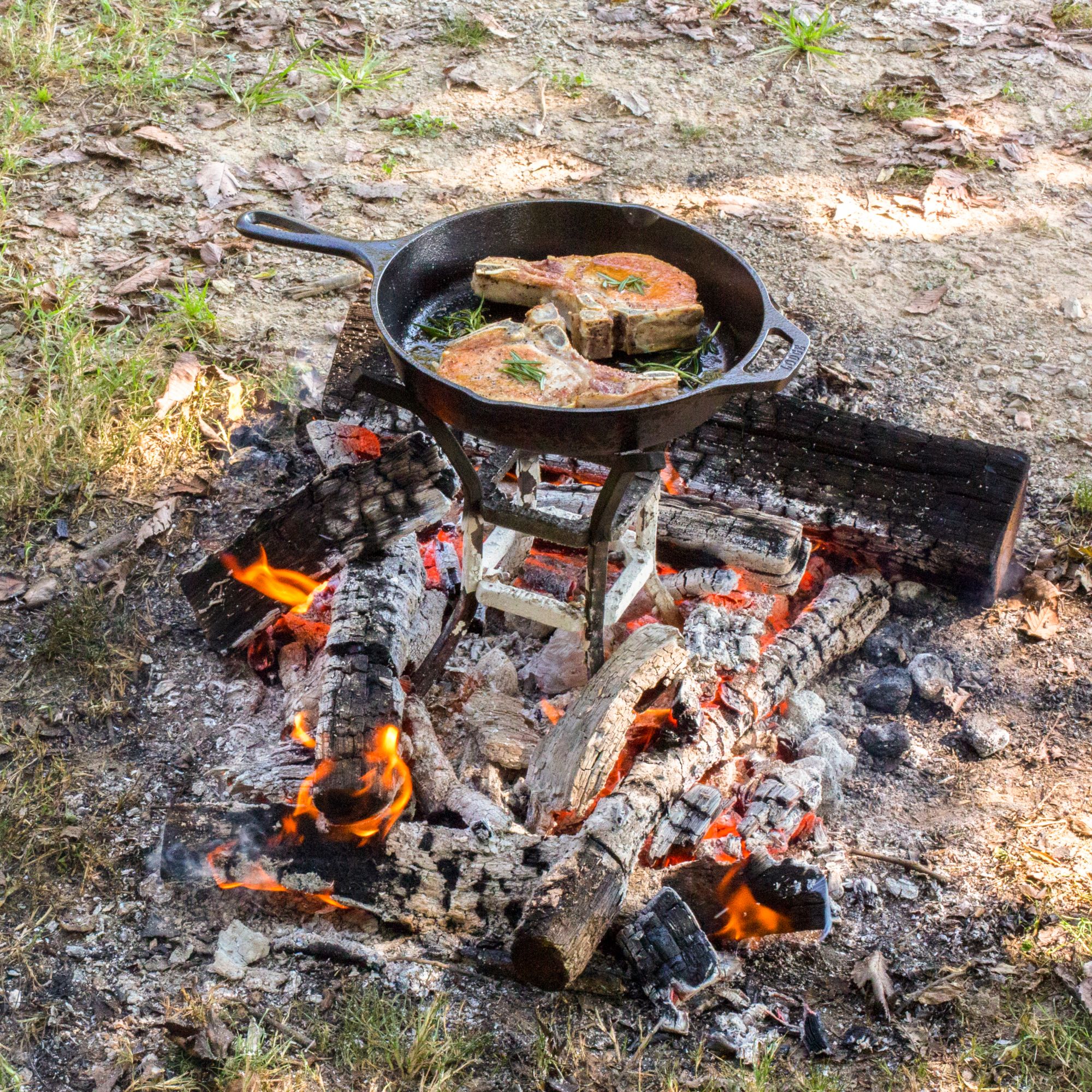 Lodge Fire and Cook Stand product image