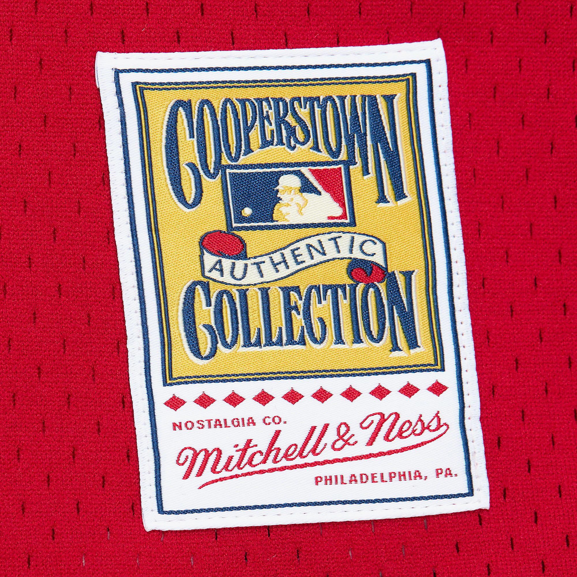 Mitchell & Ness Men's Mark McGwire #25 St. Louis Cardinals Red Mesh Button Up Jersey product image