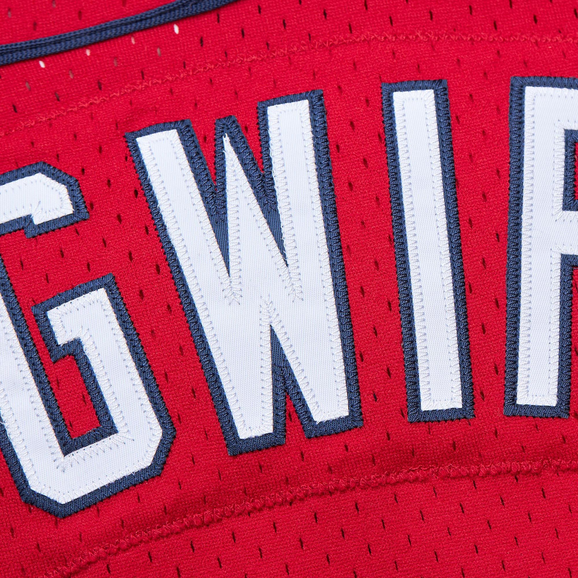 Mitchell & Ness Men's Mark McGwire #25 St. Louis Cardinals Red Mesh Button Up Jersey product image