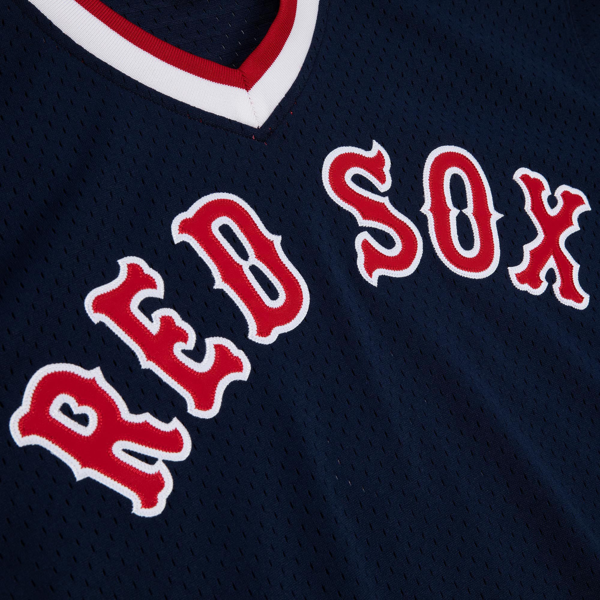 Mitchell & Ness Men's Boston Red Sox Ted Williams #9 Navy Mesh Alternate Jersey product image