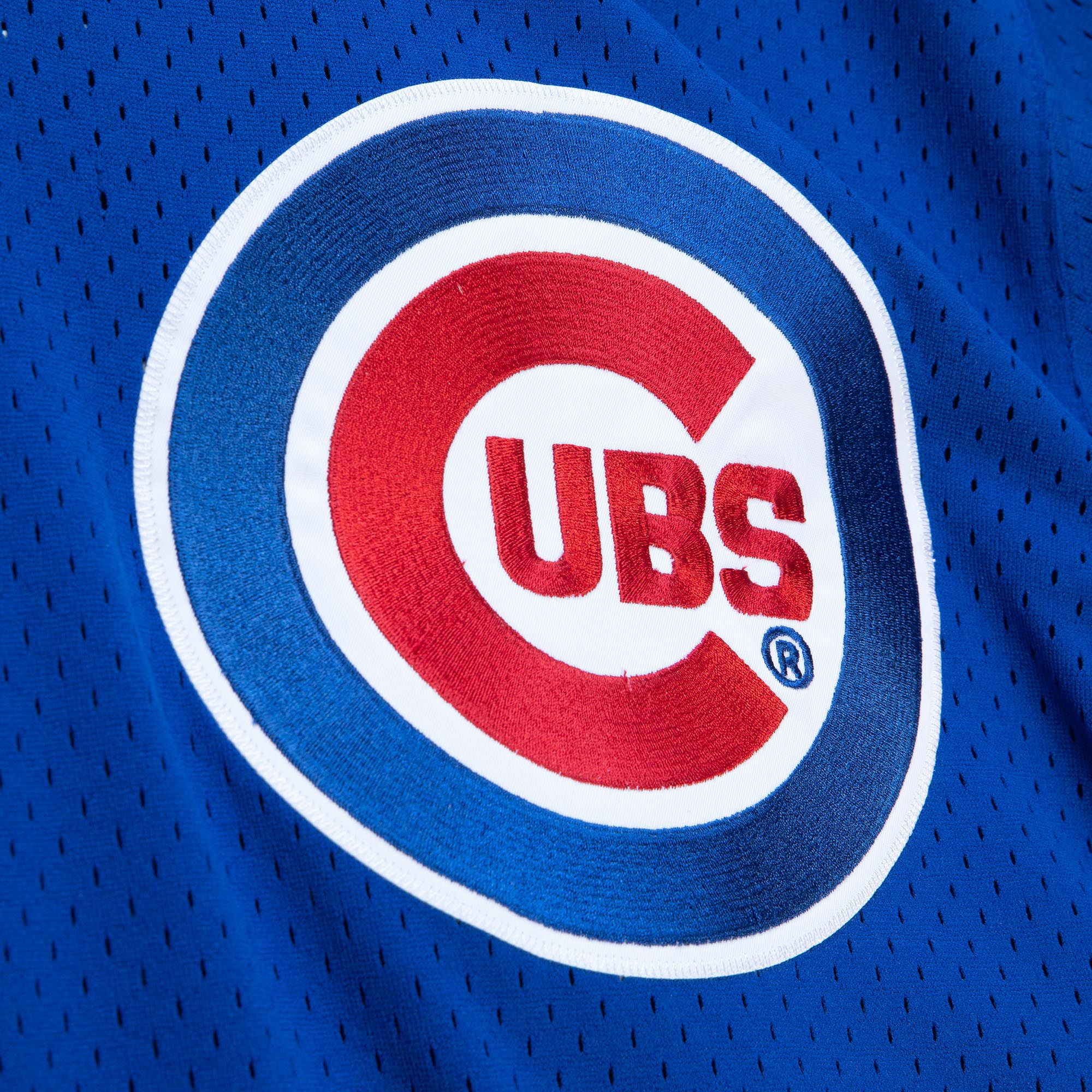 Mitchell & Ness Men's Chicago Cubs Andre Dawson #8 Royal Mesh Alternate Jersey product image