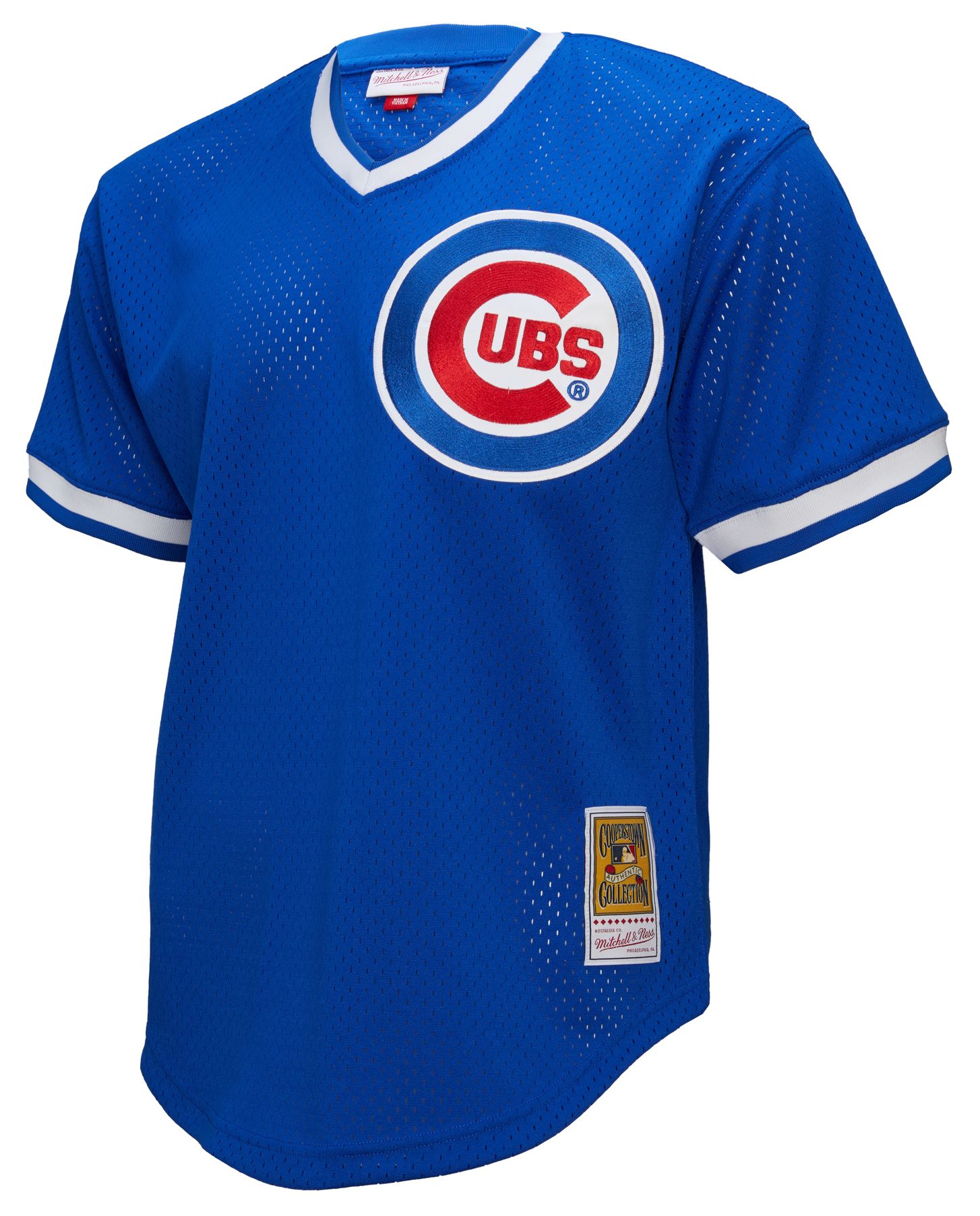 Mitchell & Ness Men's Chicago Cubs Andre Dawson #8 Royal Mesh Alternate Jersey product image