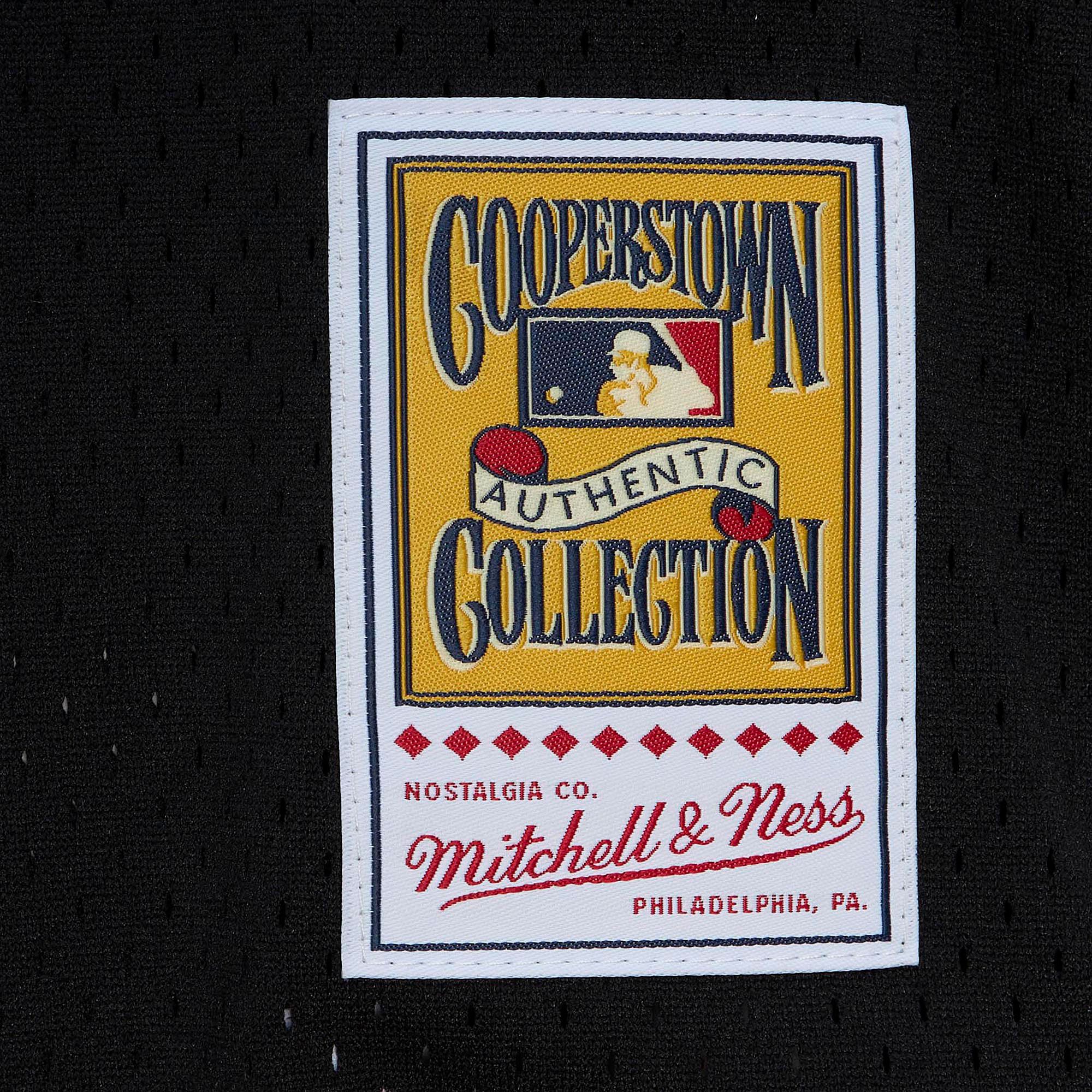 Mitchell & Ness Men's Houston Astros Lance Berkman #17 Black Mesh Alternate Jersey product image