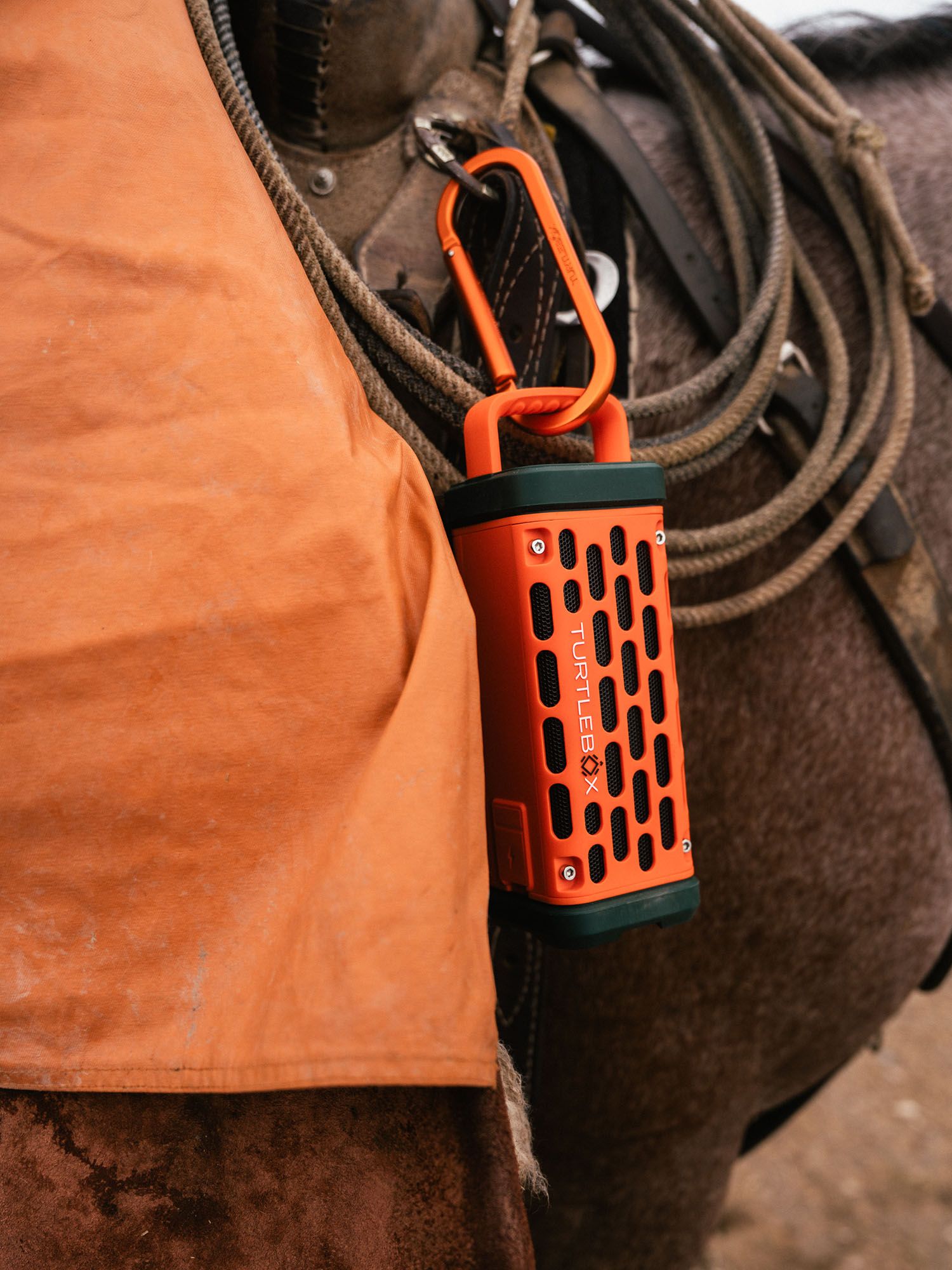 Turtlebox Carabiner product image