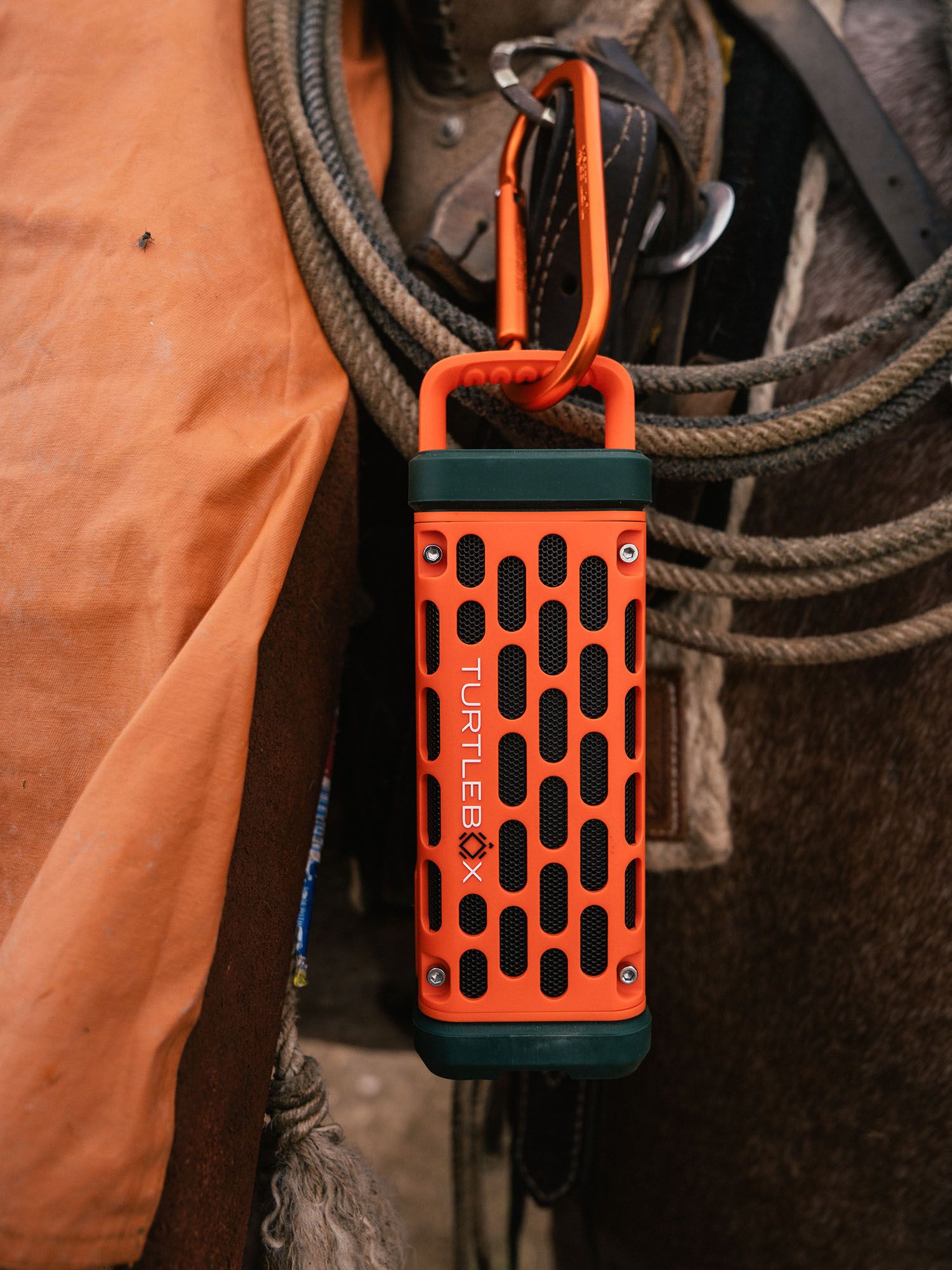 Turtlebox Carabiner product image