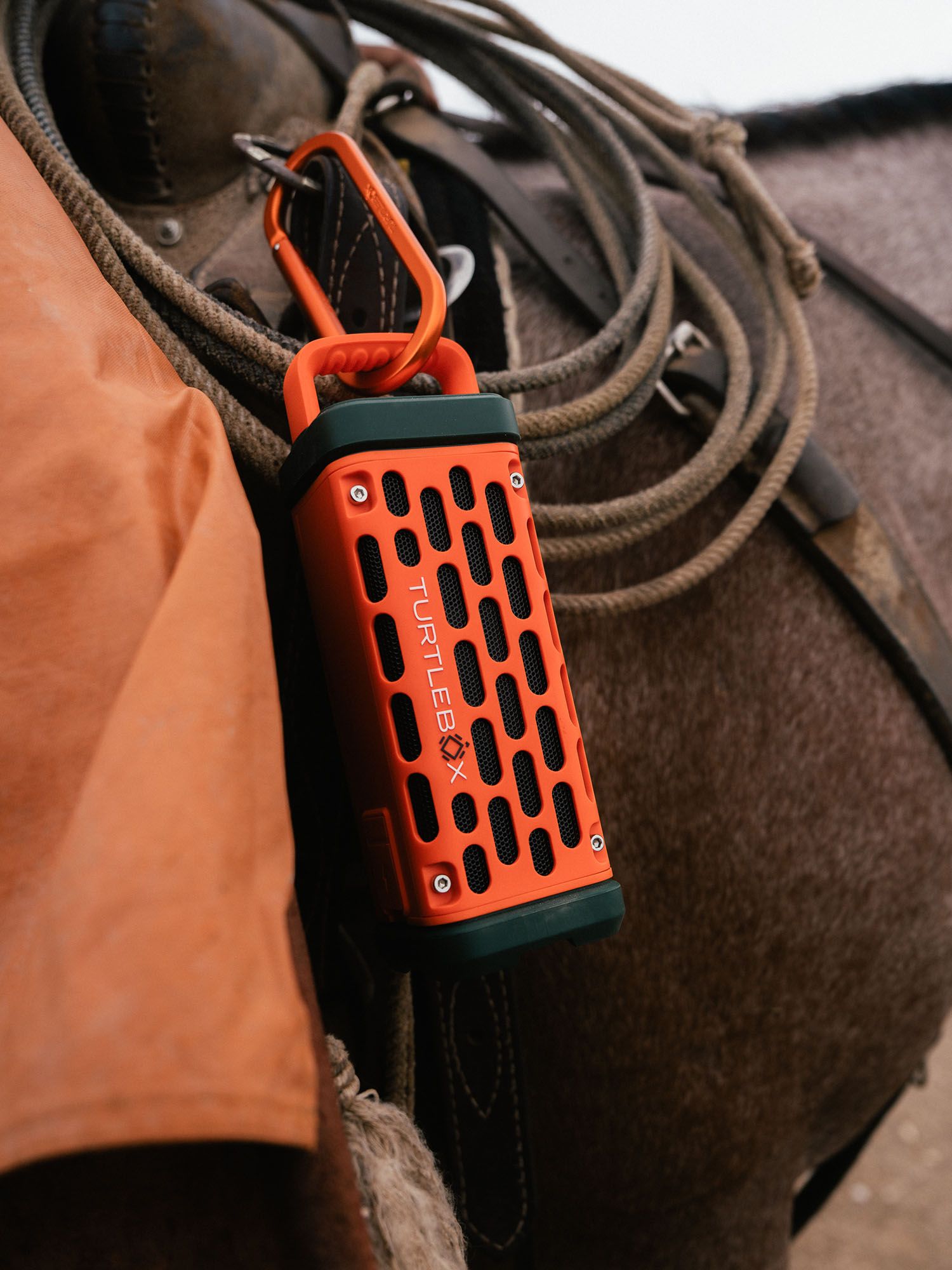 Turtlebox Carabiner product image