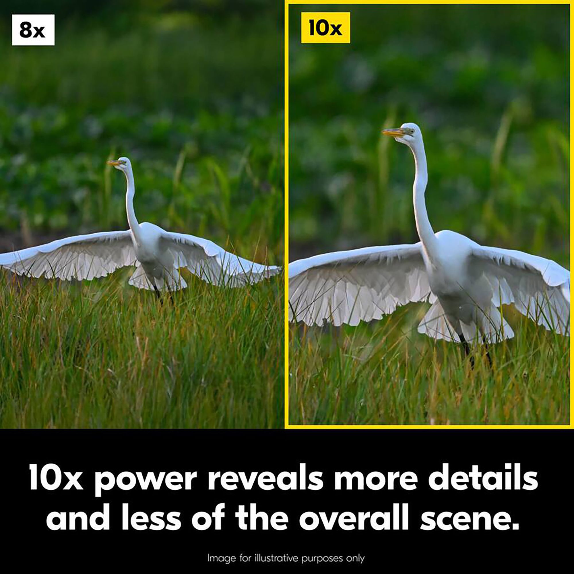 Nikon Action 10x42 Binoculars product image