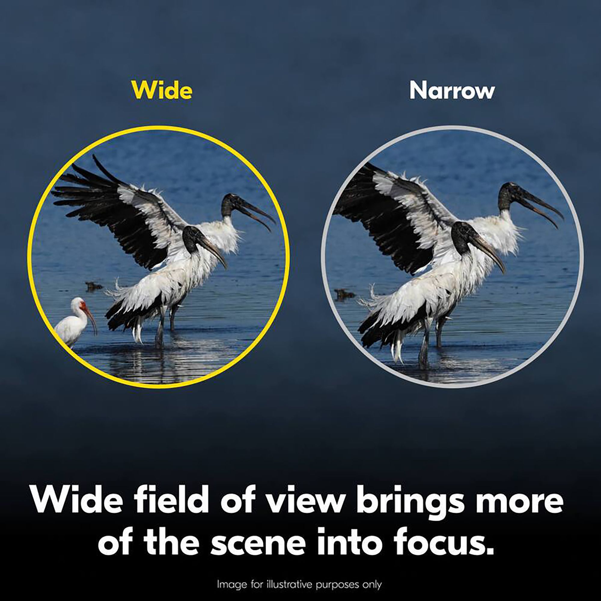 Nikon Action 10x42 Binoculars product image