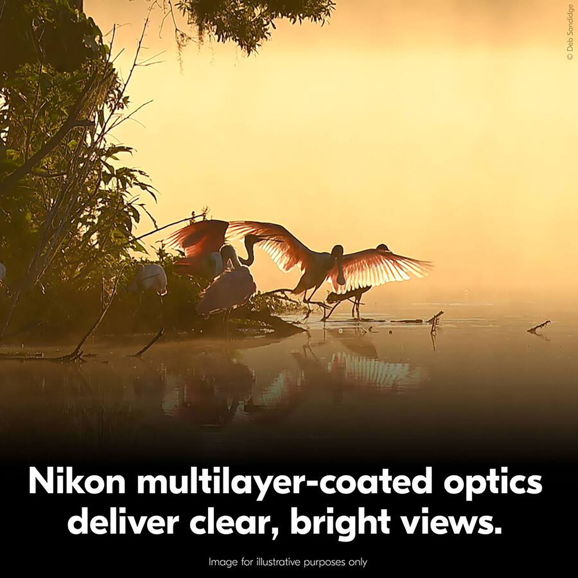 Nikon Action Zoom 10-22x50 Binoculars product image