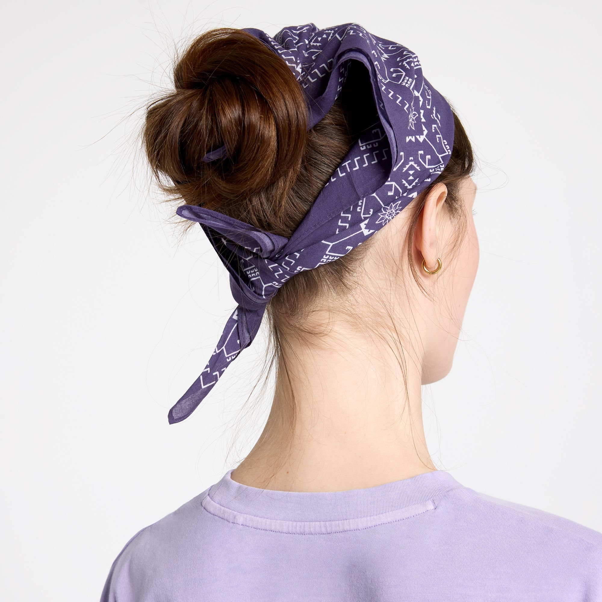 Alpine Design Bandana product image