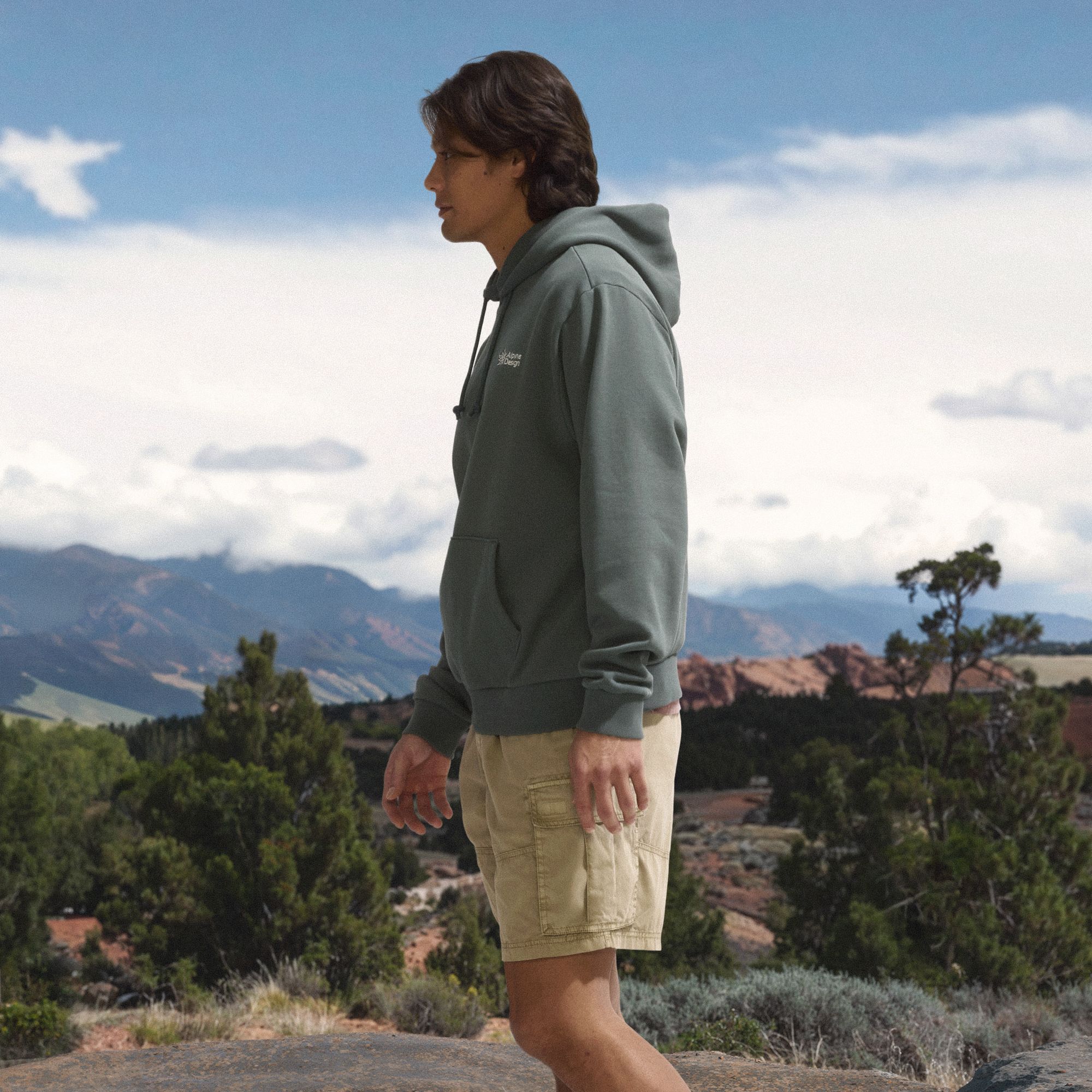Alpine Design Men's Hike Hoodie product image