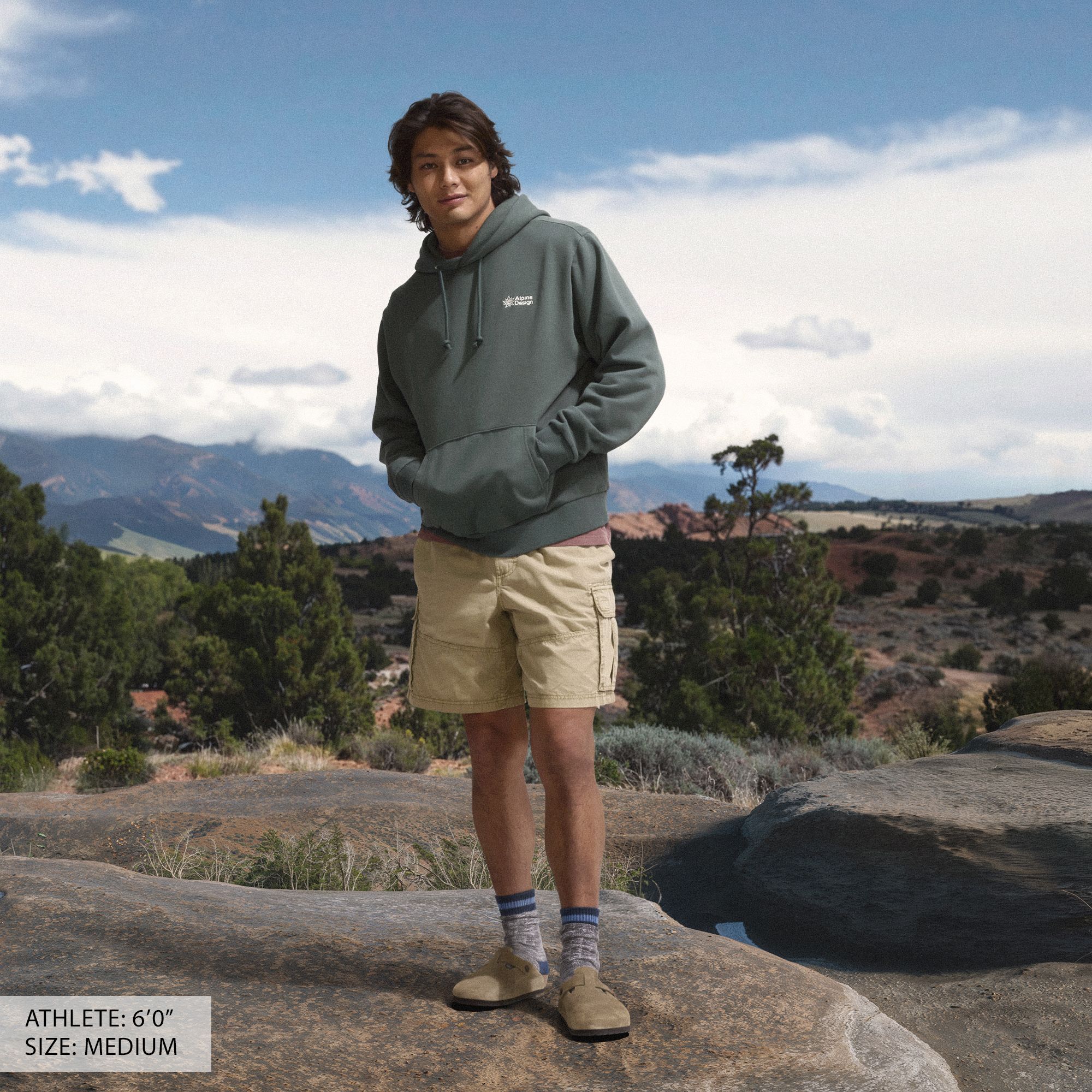 Alpine Design Men's Hike Hoodie product image