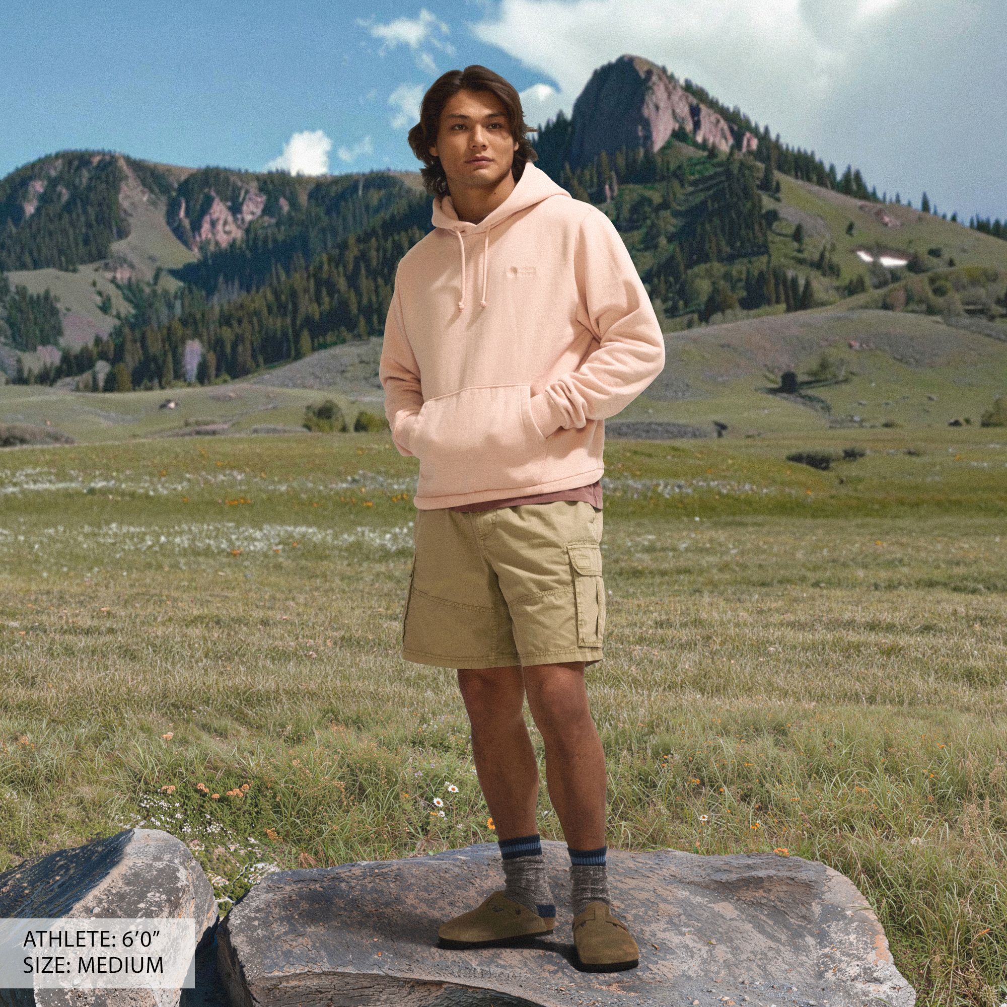 Alpine Design Men's Hike Hoodie product image