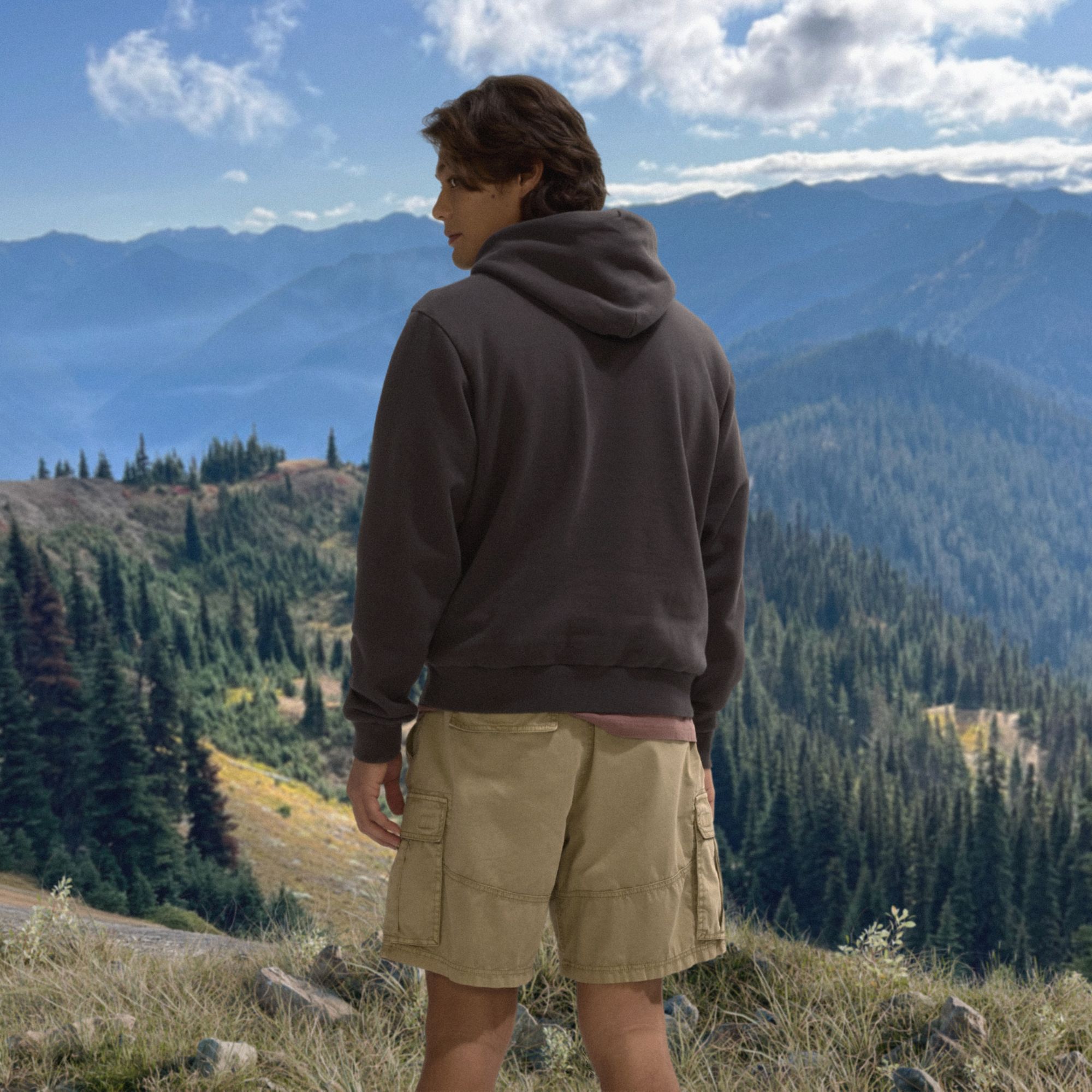 Alpine Design Men's Hike Hoodie product image