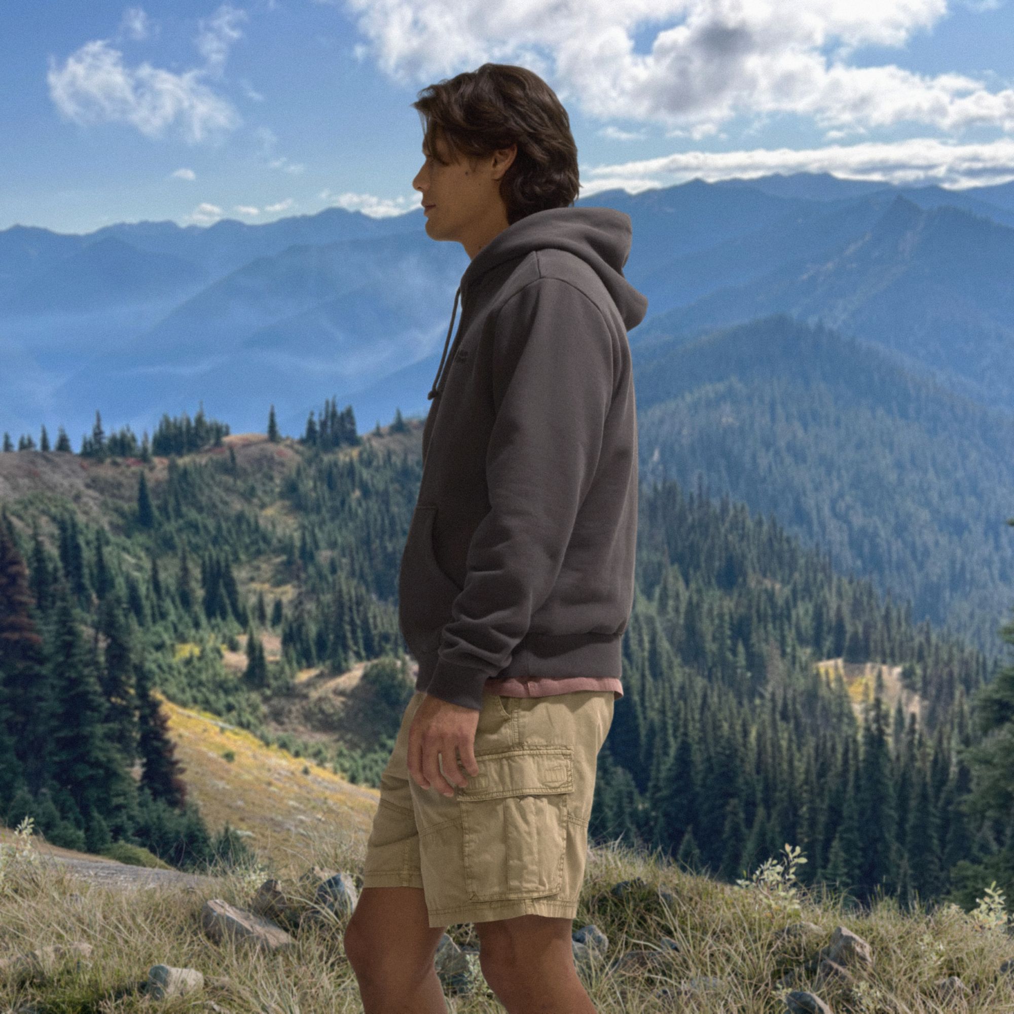 Alpine Design Men's Hike Hoodie product image