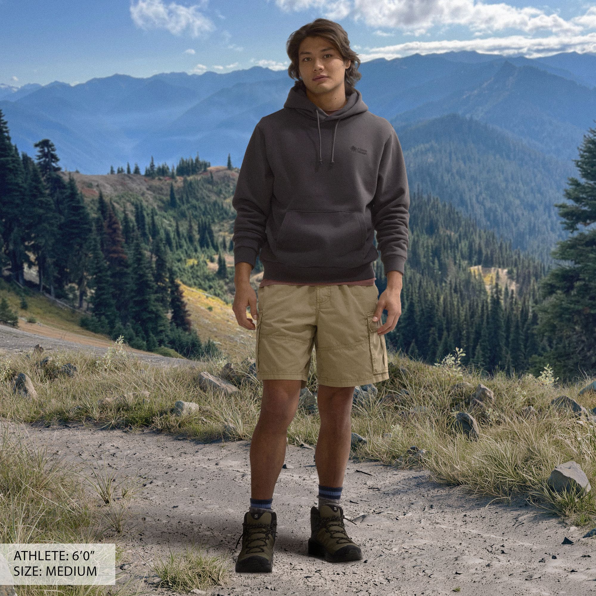 Alpine Design Men's Hike Hoodie product image