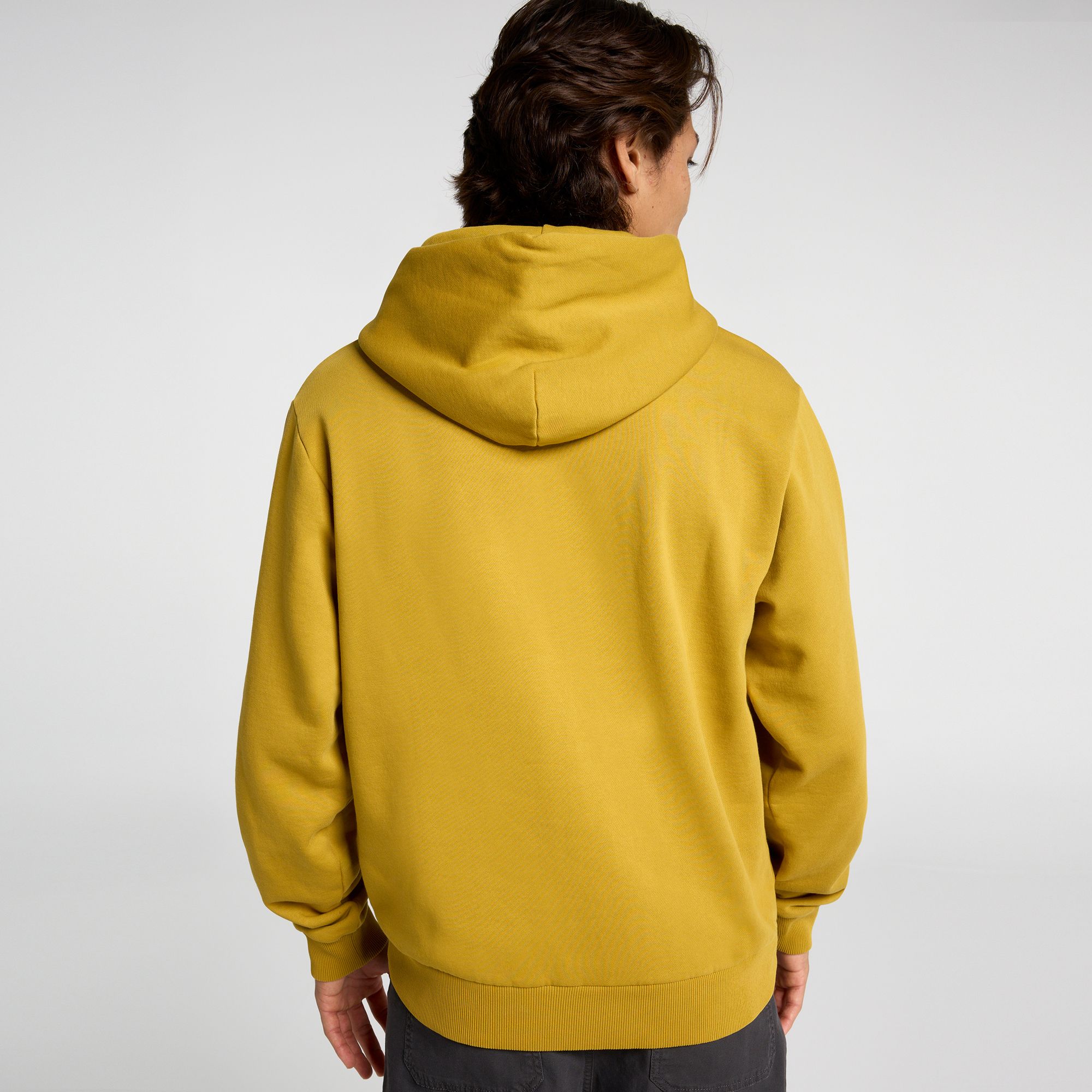 Alpine Design Men's Hike Hoodie product image
