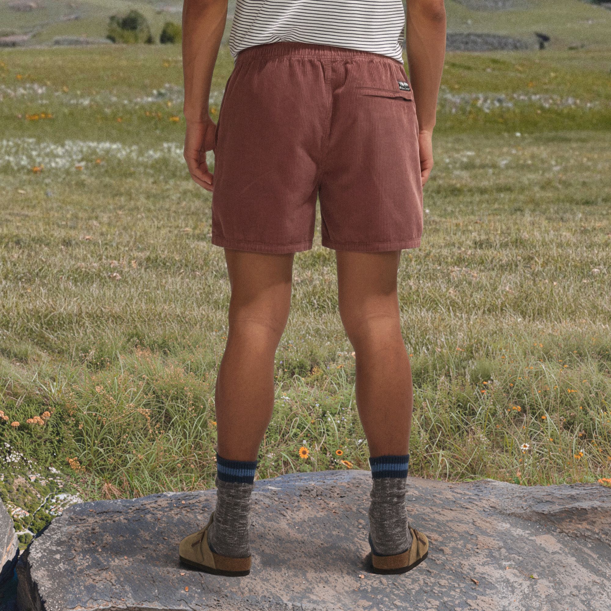 Alpine Design Men's 5" Pull On Corduroy Shorts product image