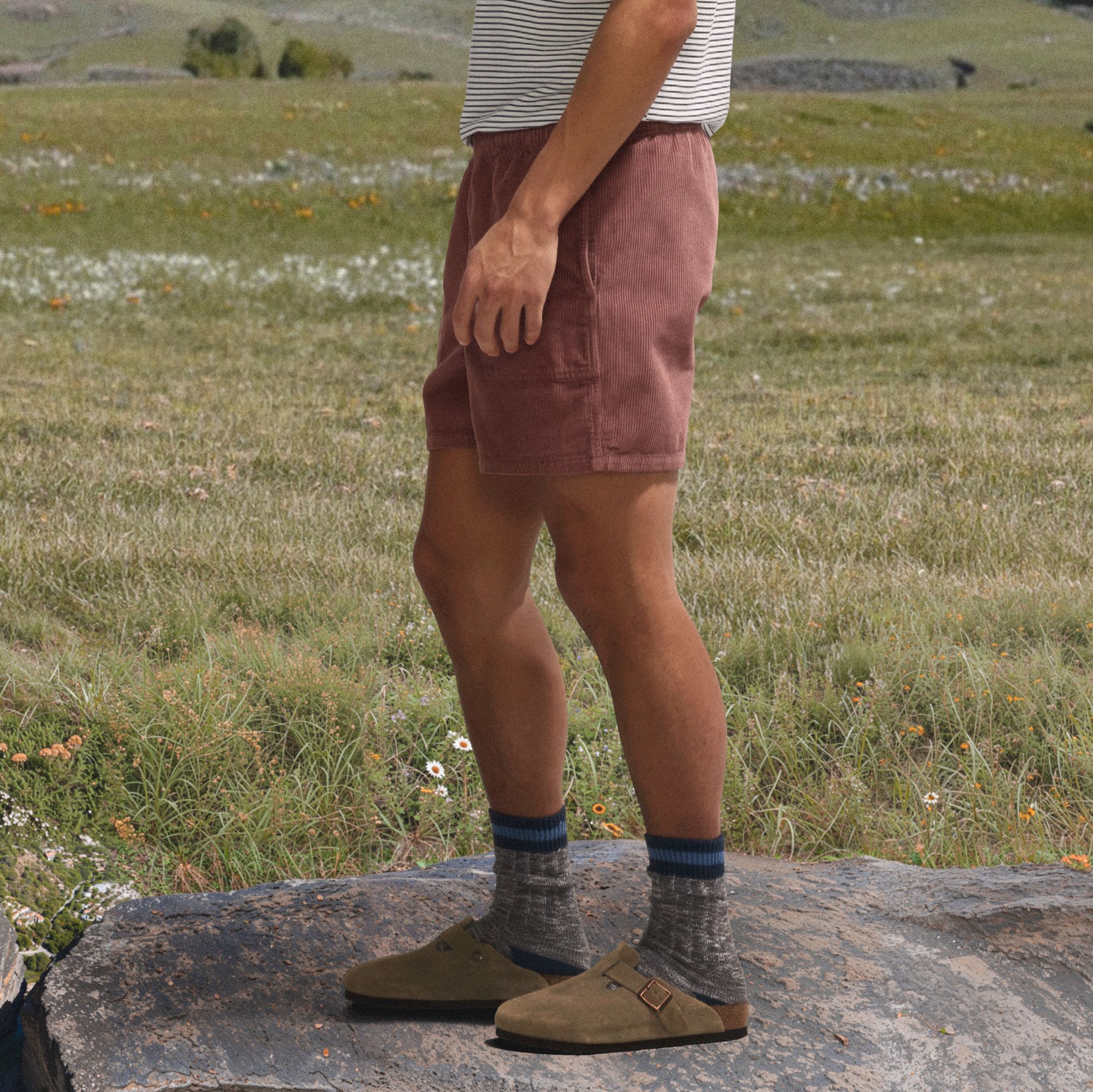 Alpine Design Men's 5" Pull On Corduroy Shorts product image