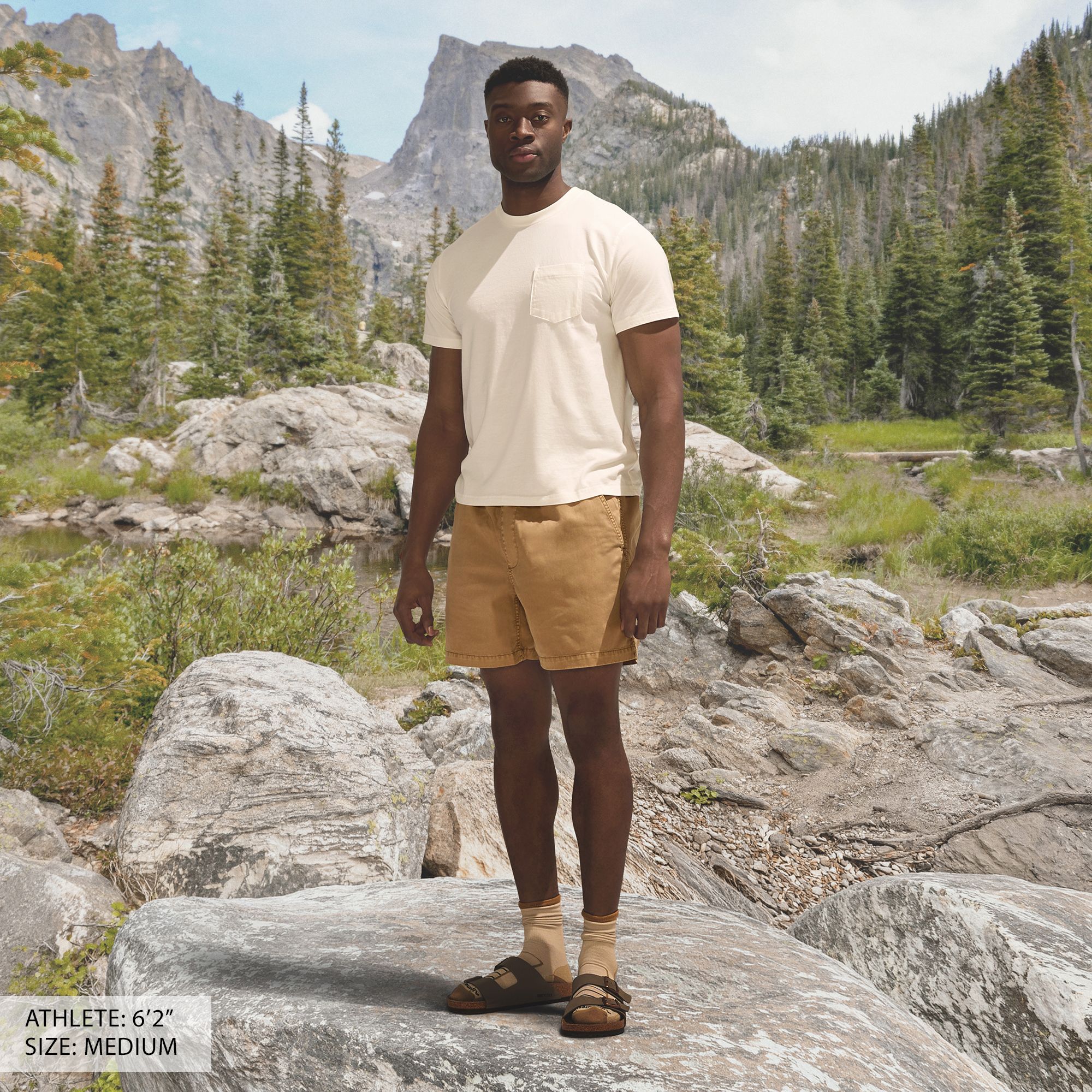 Alpine Design Men's 6" Garment Dyed Pull On Twill Shorts product image