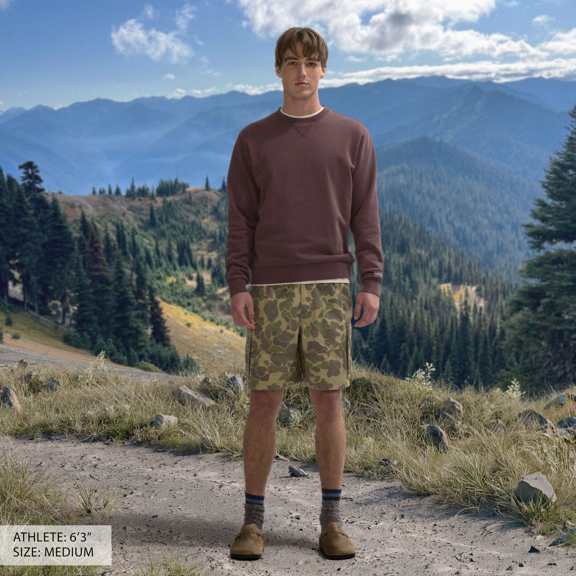 Alpine Design Men's Spring French Terry Crew product image